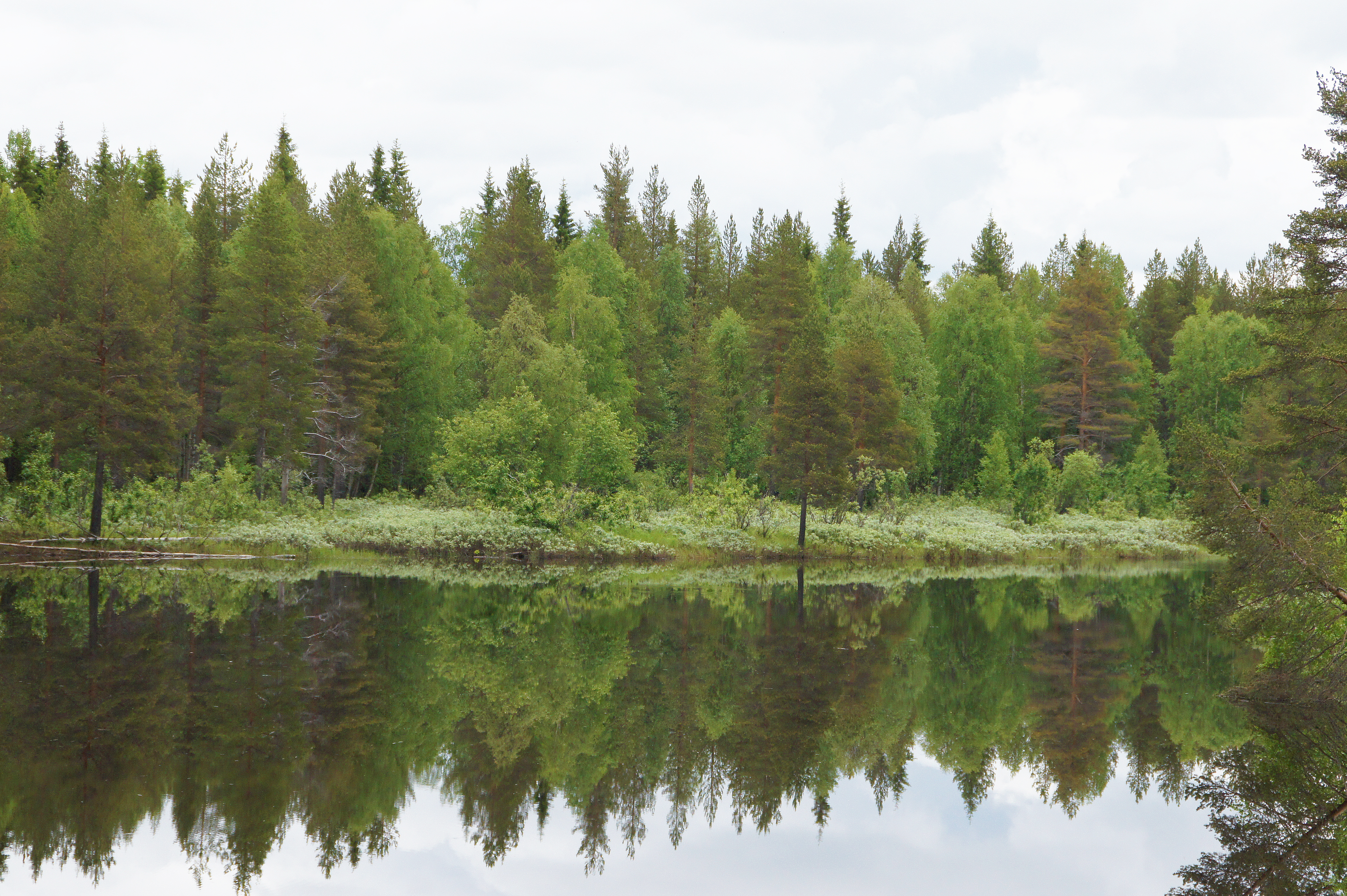 Stärka äganderätten