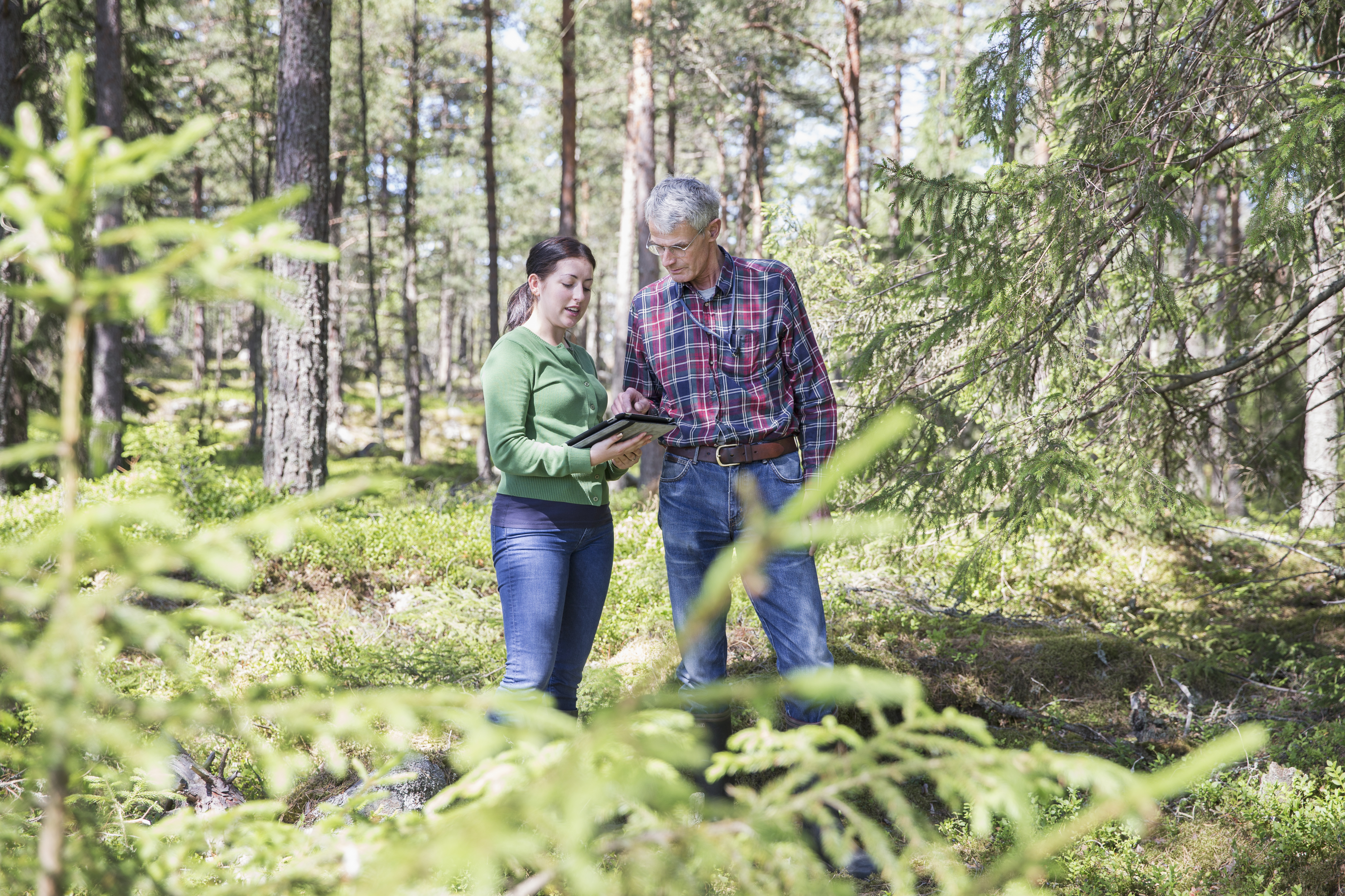 Två företgagare i skogen Ekerö skog
