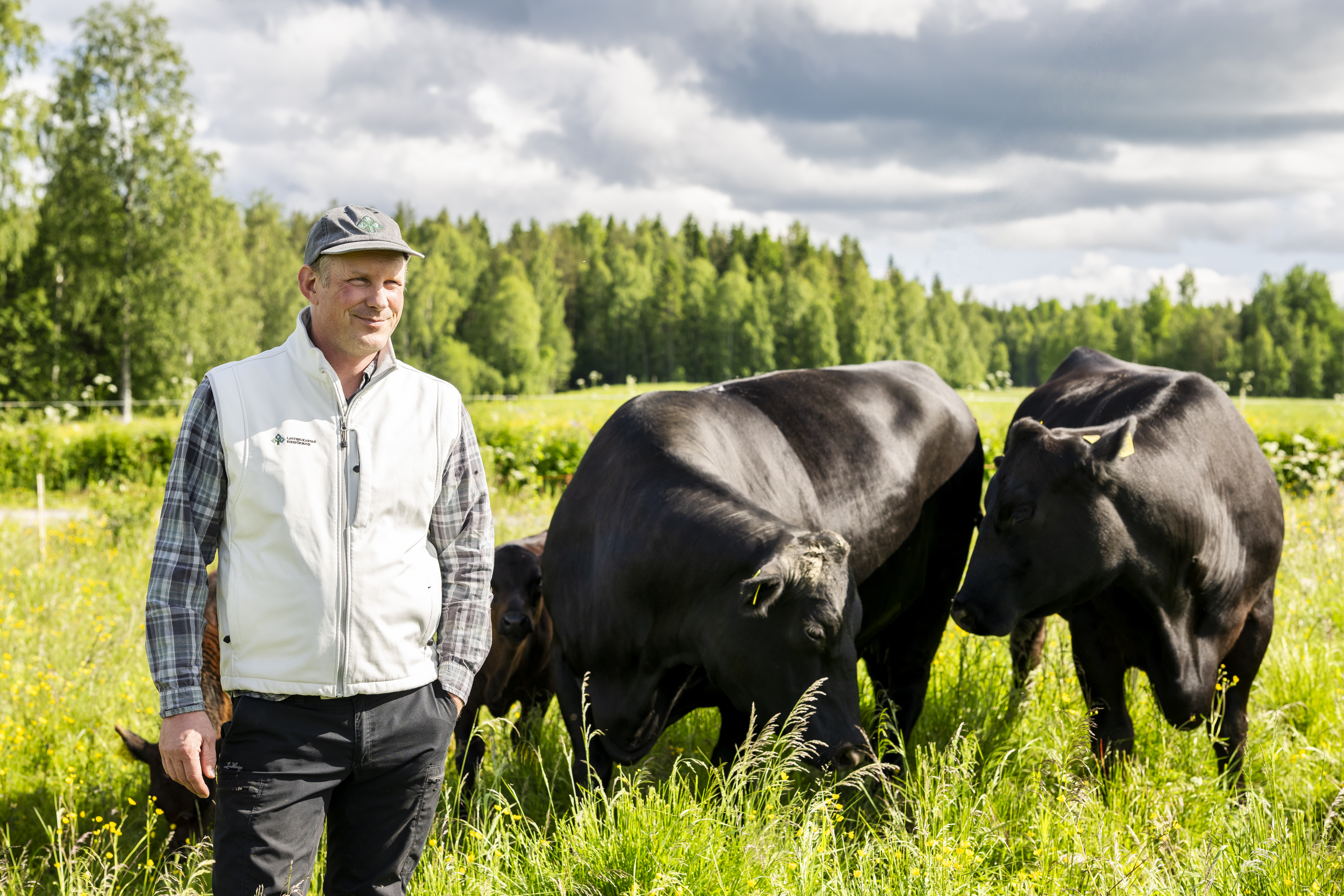 Stefan Lindgren, LRF Västerbottens ordförande