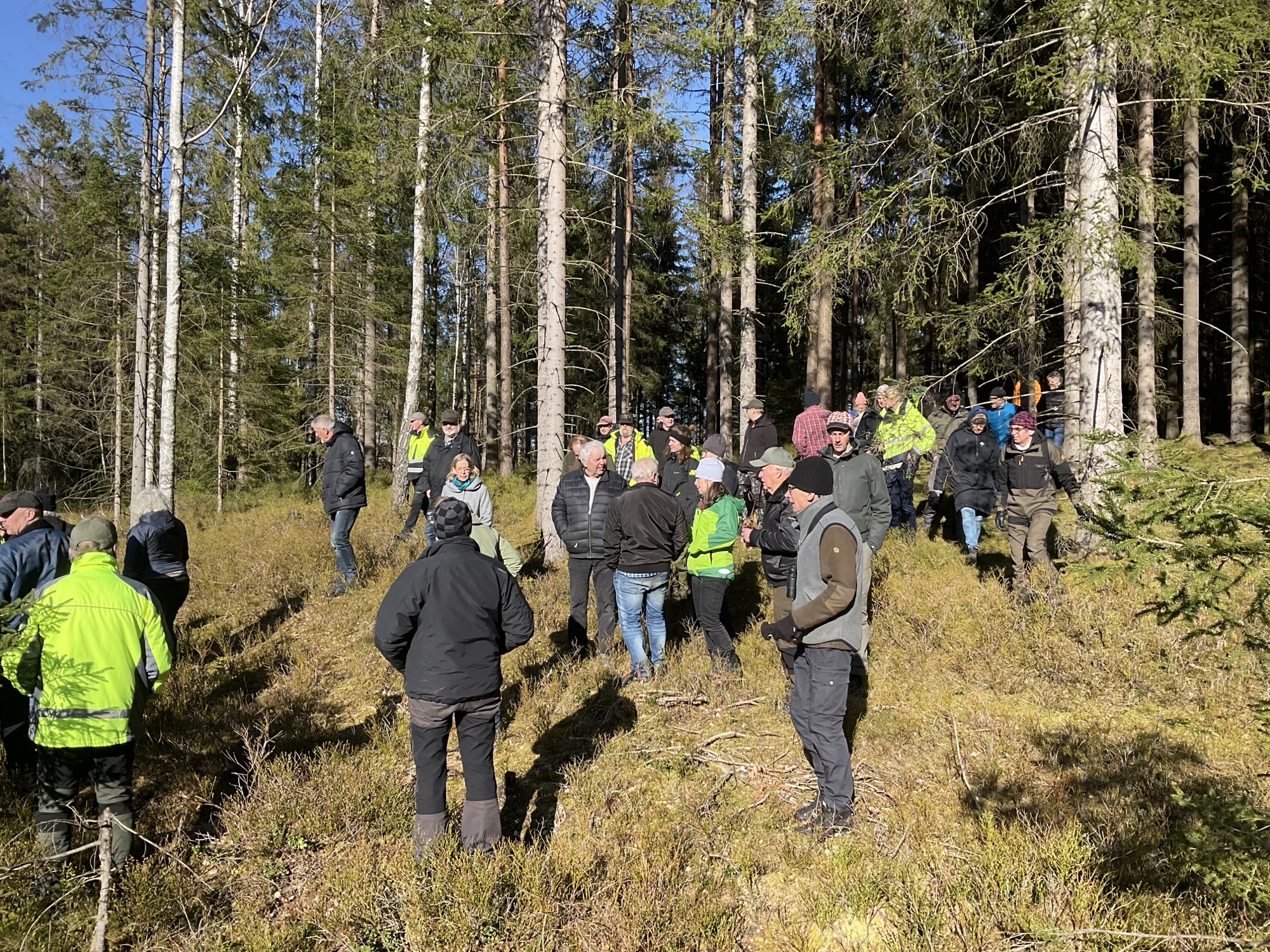 Skogsträff i Landvetter