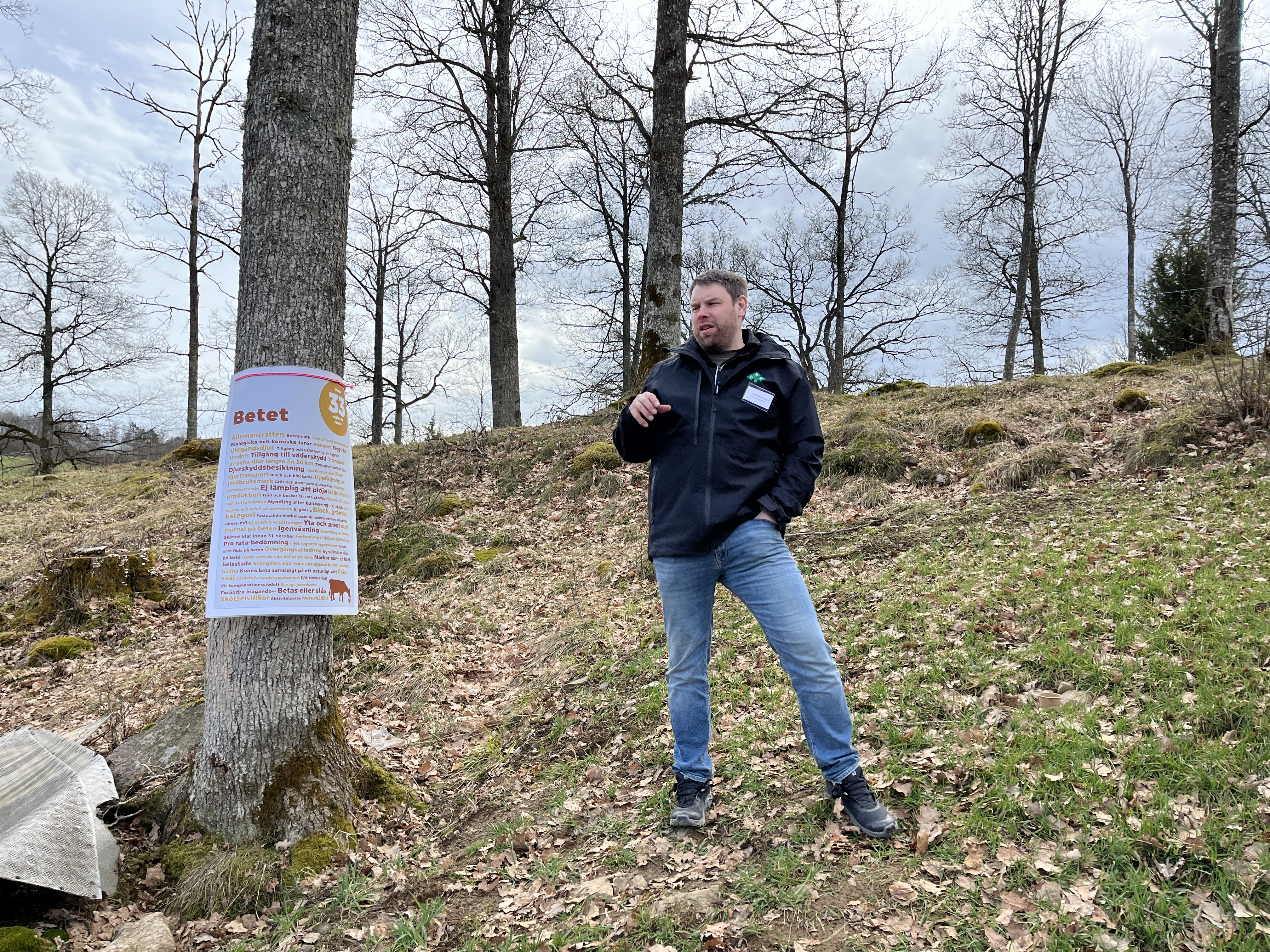 Regel- och kontrollsafari
