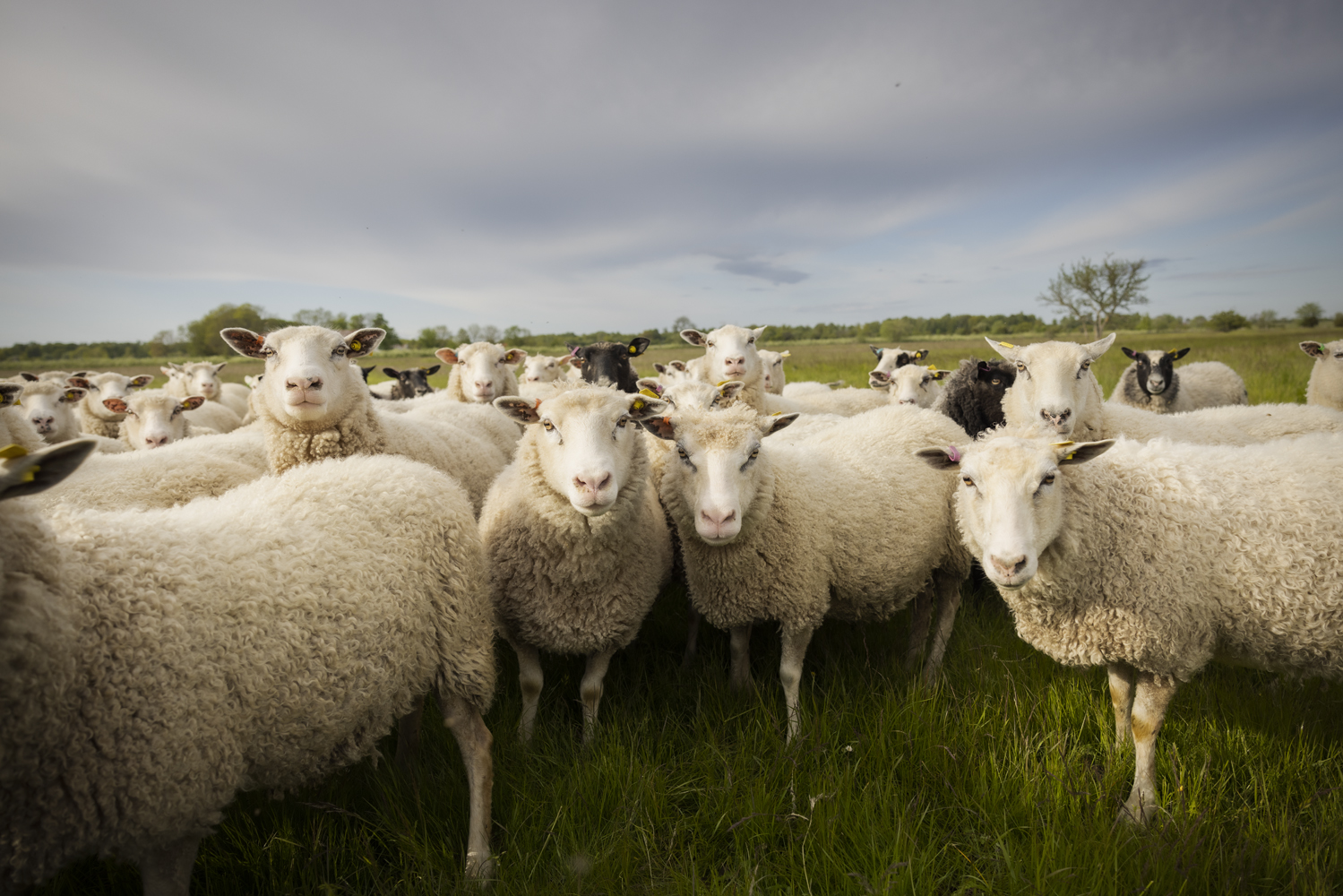 Forskning och innovation