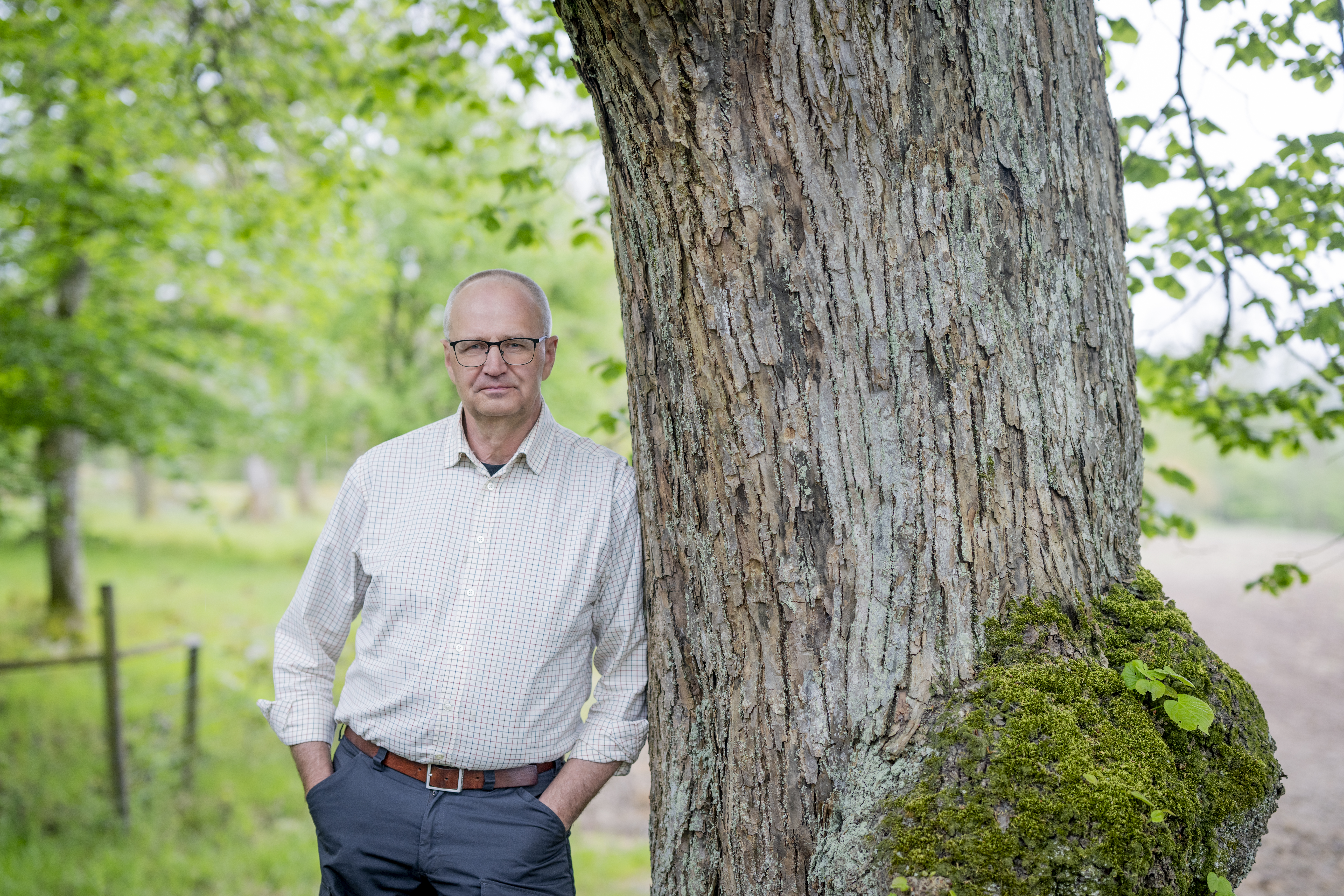 Palle Borgström