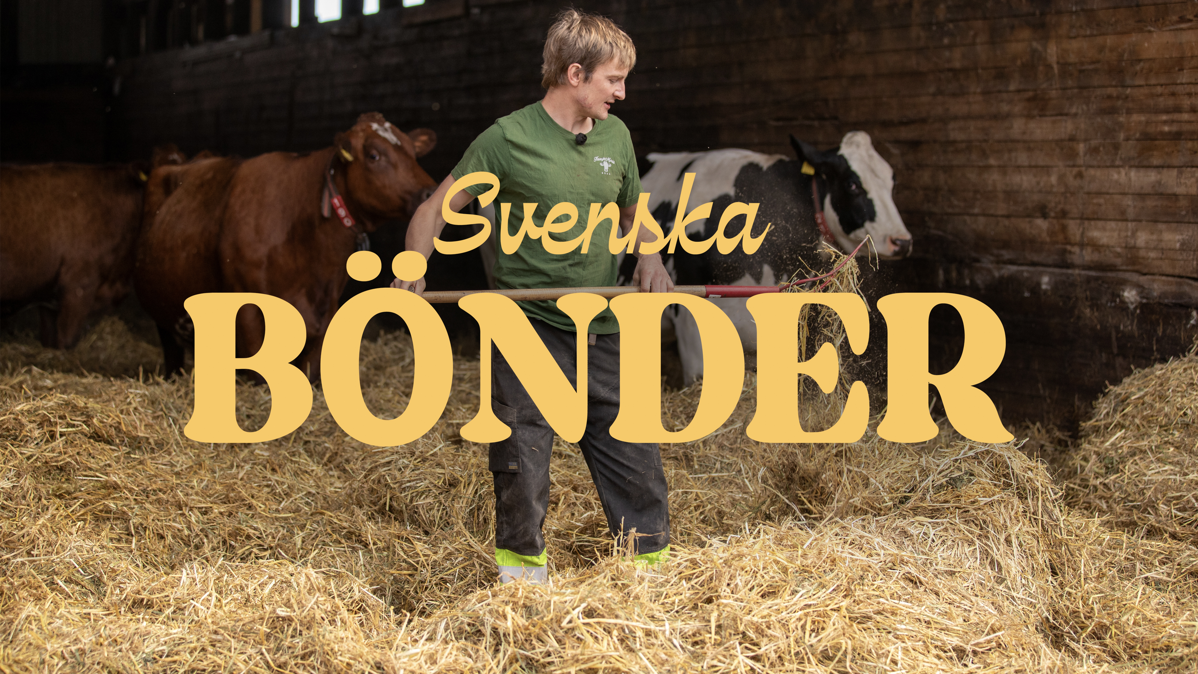 Introbild för TV-programmet Svenska Bönder.