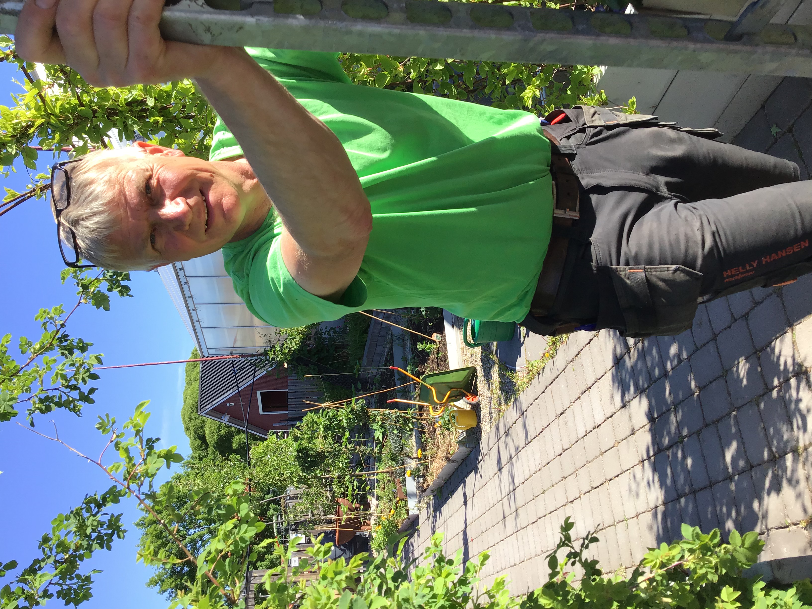 Bilder från Mobaced handelsträdgård i Bollnäs