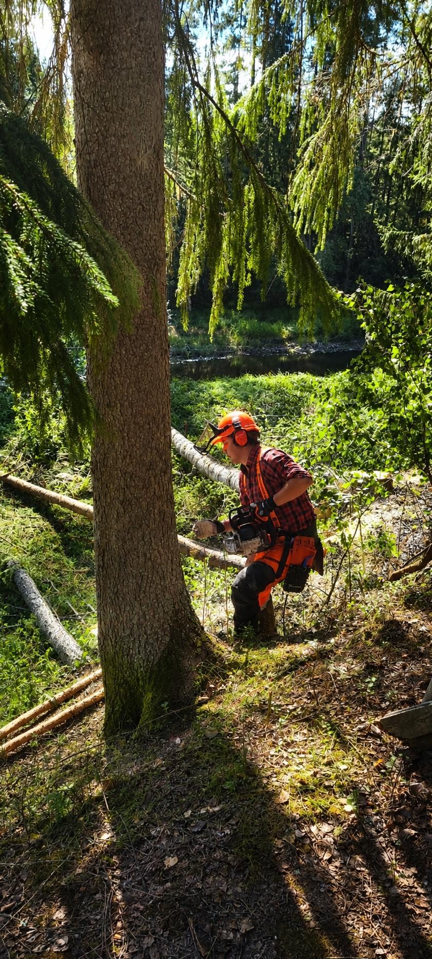 Sebastian Mångs, ordförande LRF Ungdomen Västernorrland