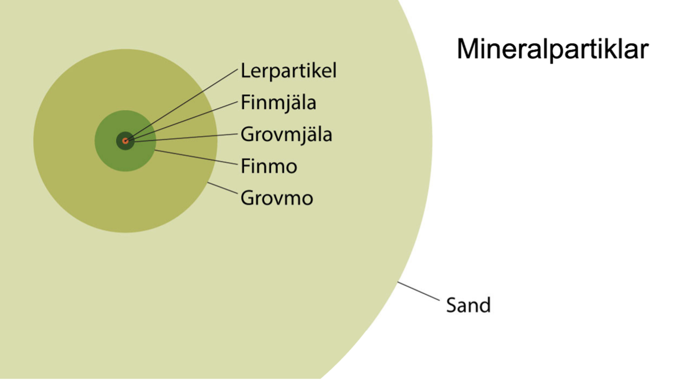 Grafik som tillhör webbkursen Dränera för friska rötter.