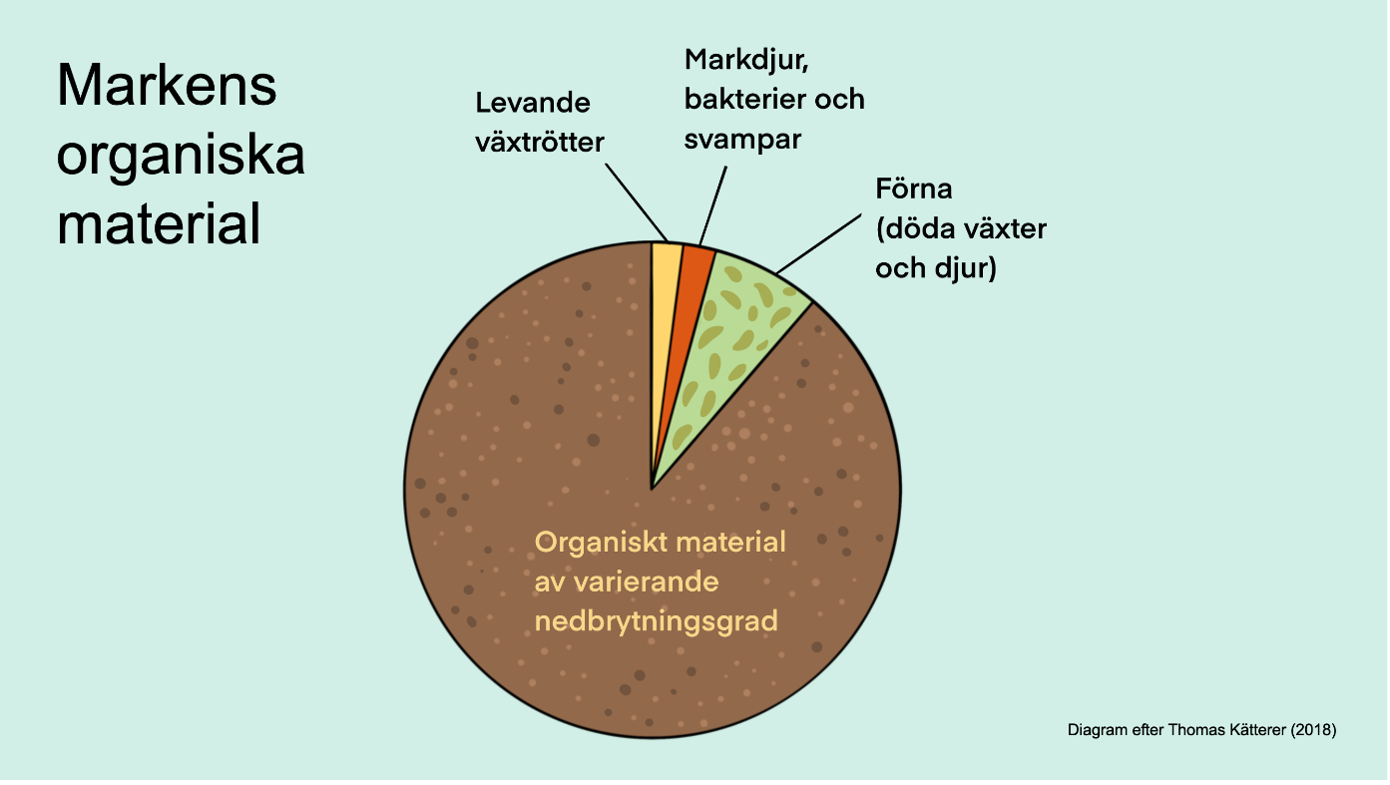 Grafik som tillhör webbkursen Dränera för friska rötter.