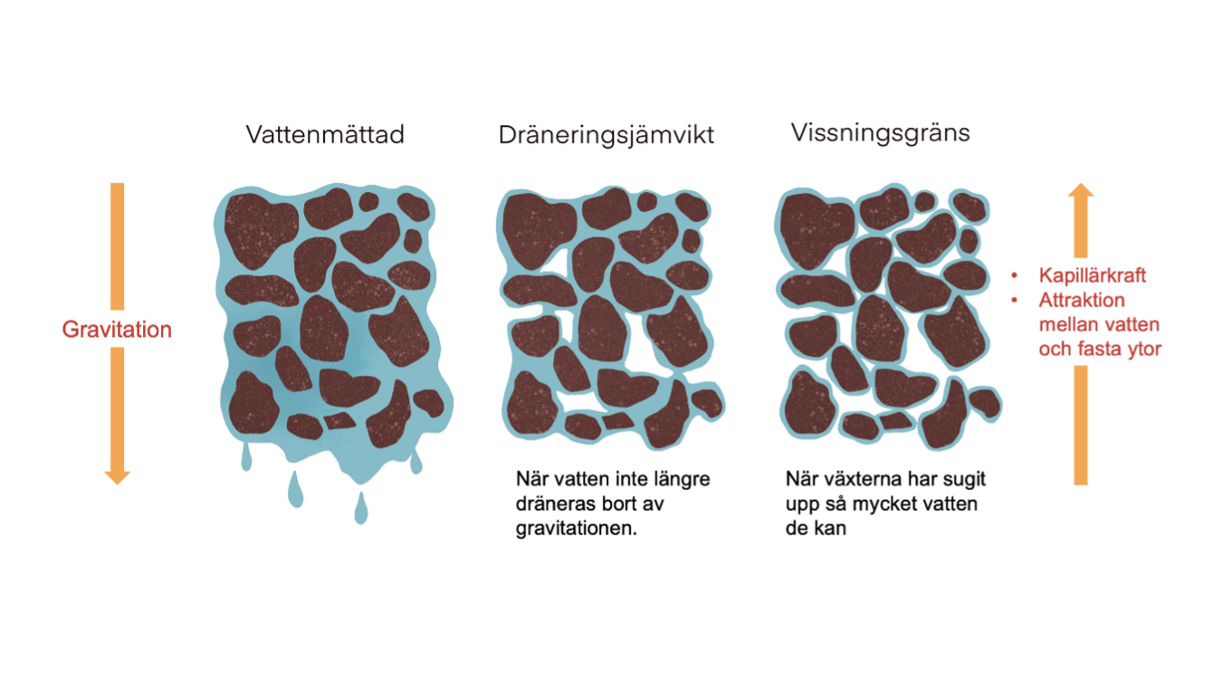 Grafik som tillhör webbkursen Dränera för friska rötter.