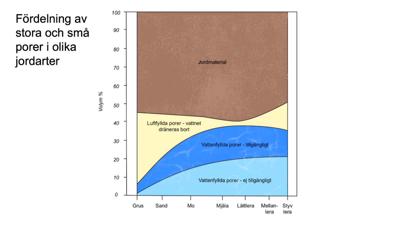 Grafik som tillhör webbkursen Dränera för friska rötter.