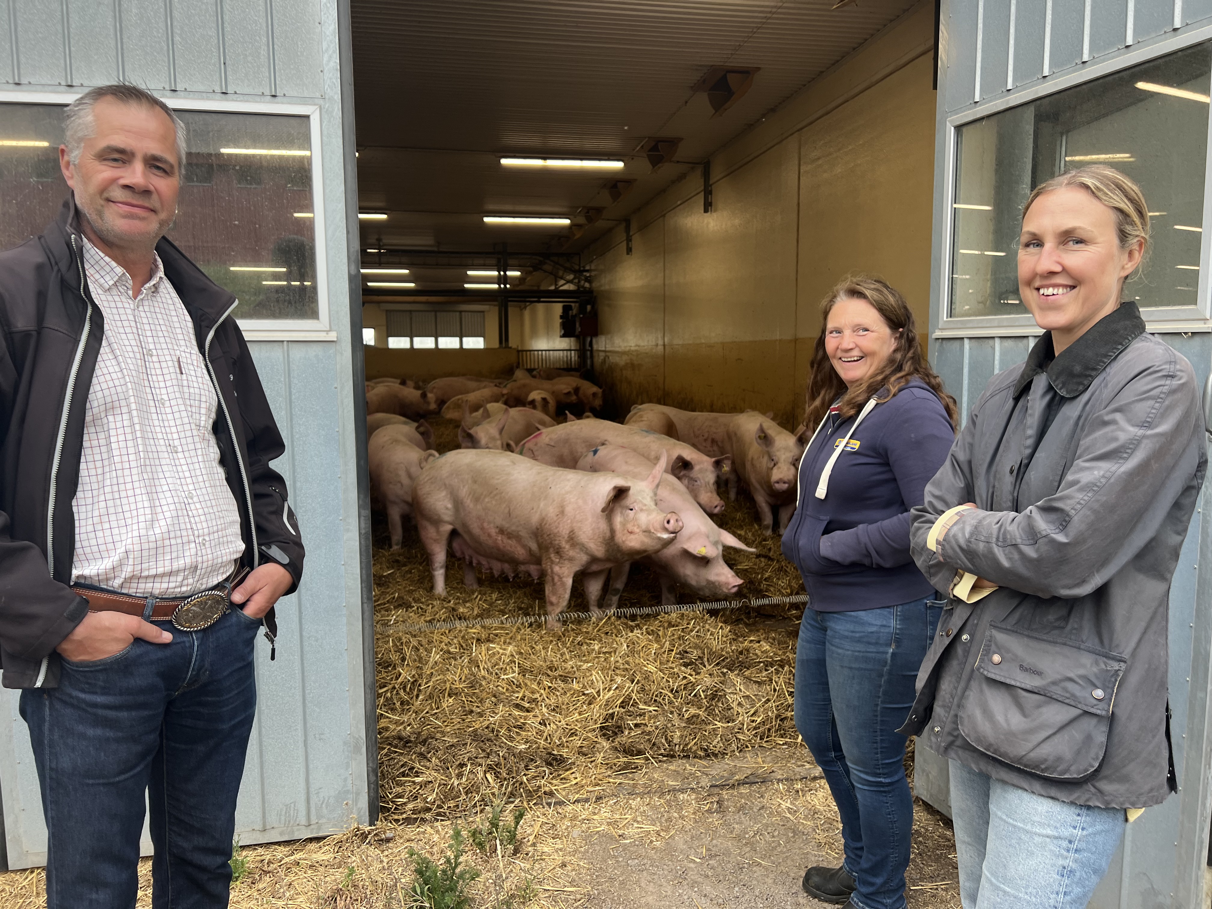 Lisa Ehde hälsar på grisarna hos Jeanette och Hans Blackert