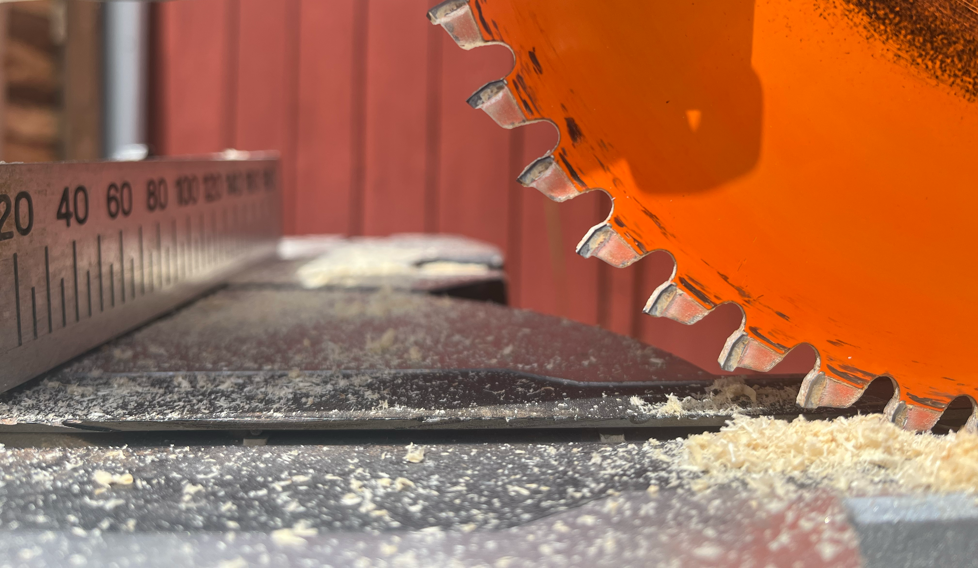 Sågklinga i närbild