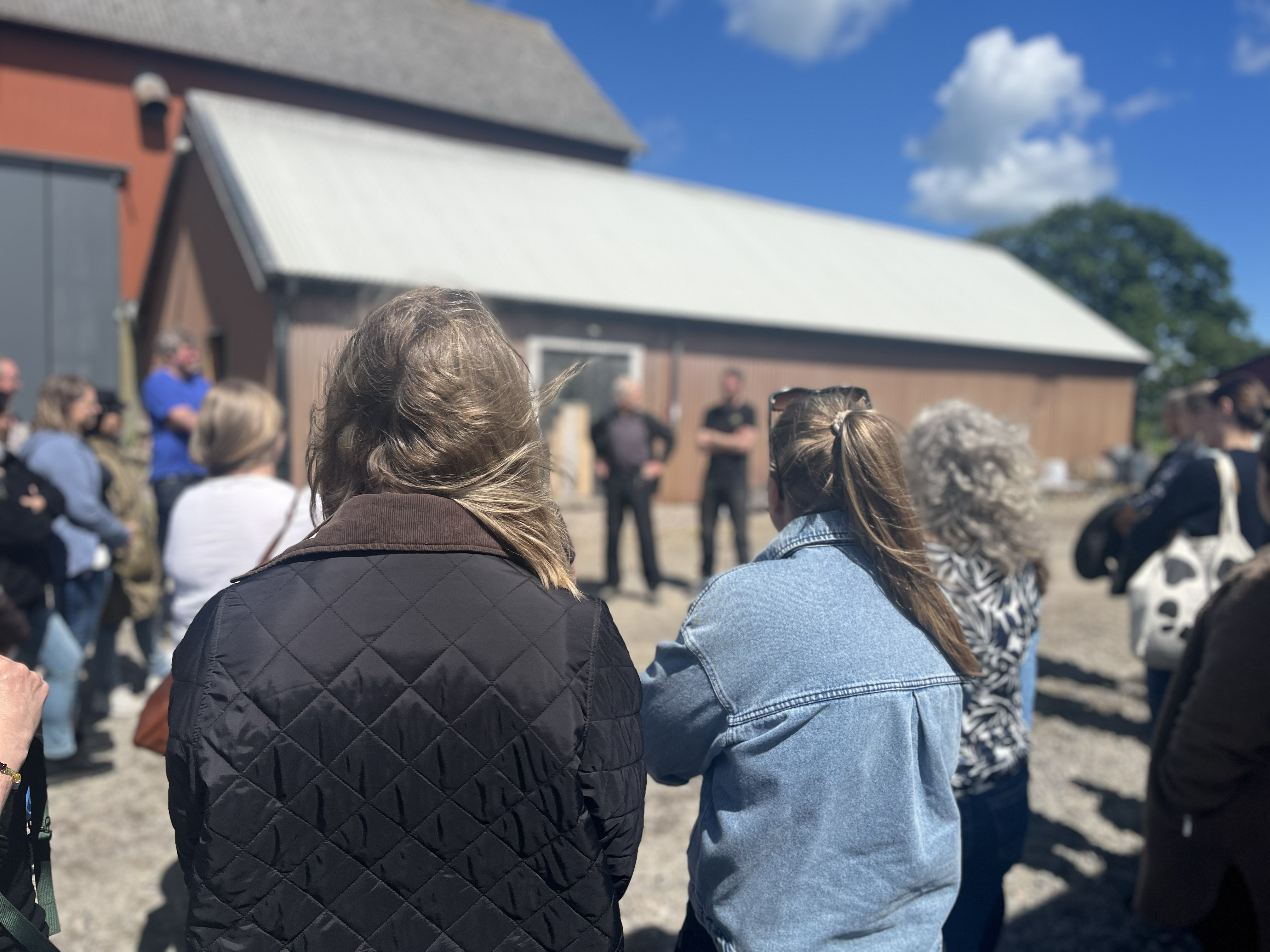 Gårdsbesök Backaholm Lantbruk