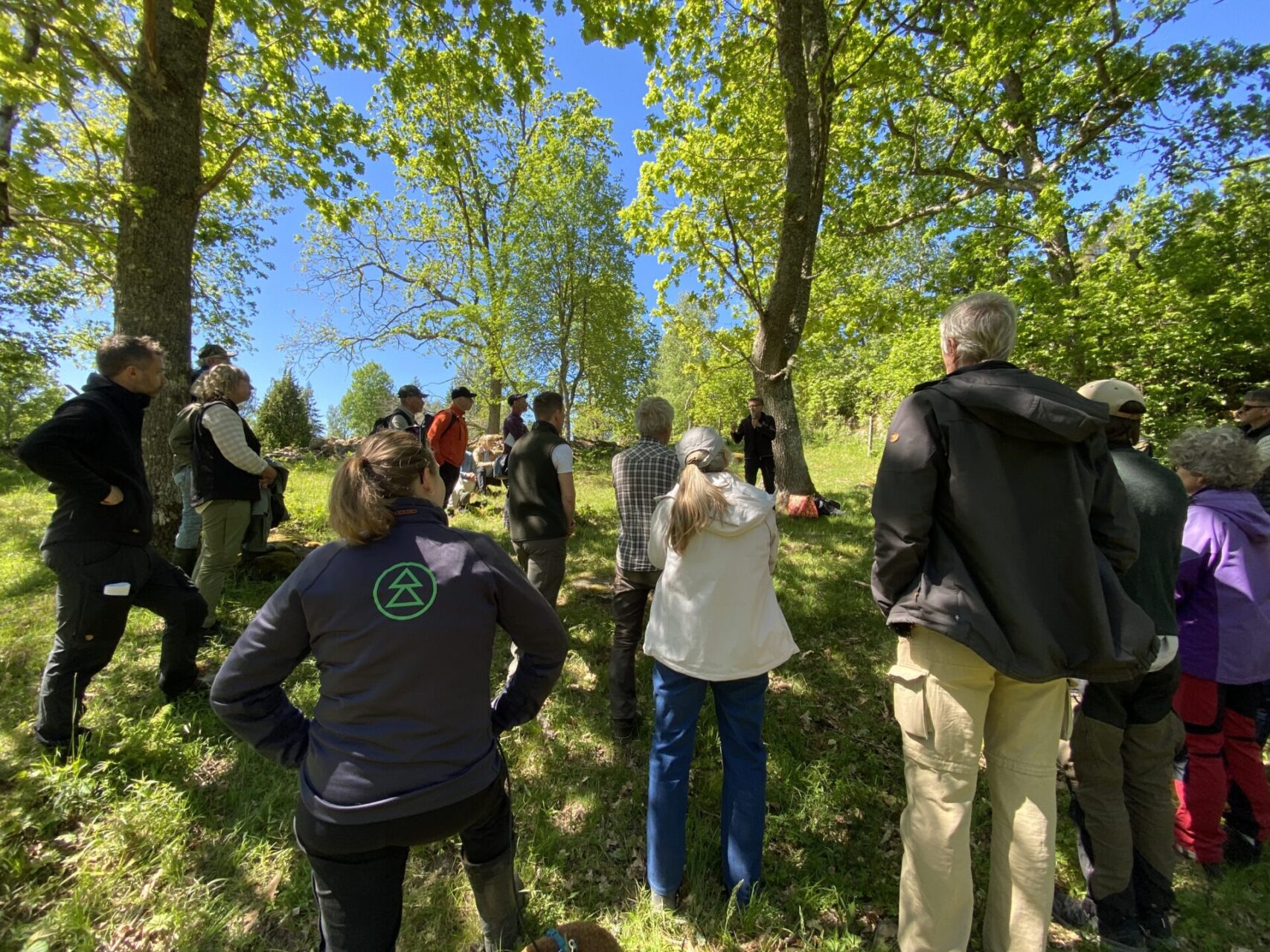 Skogsprogrammet i Östergötland, fältdag i Boxholm juni 2026.