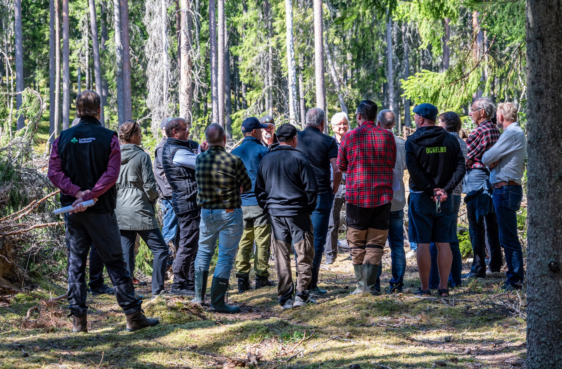 Politikerträff i Rönnåsen, Ockelbo