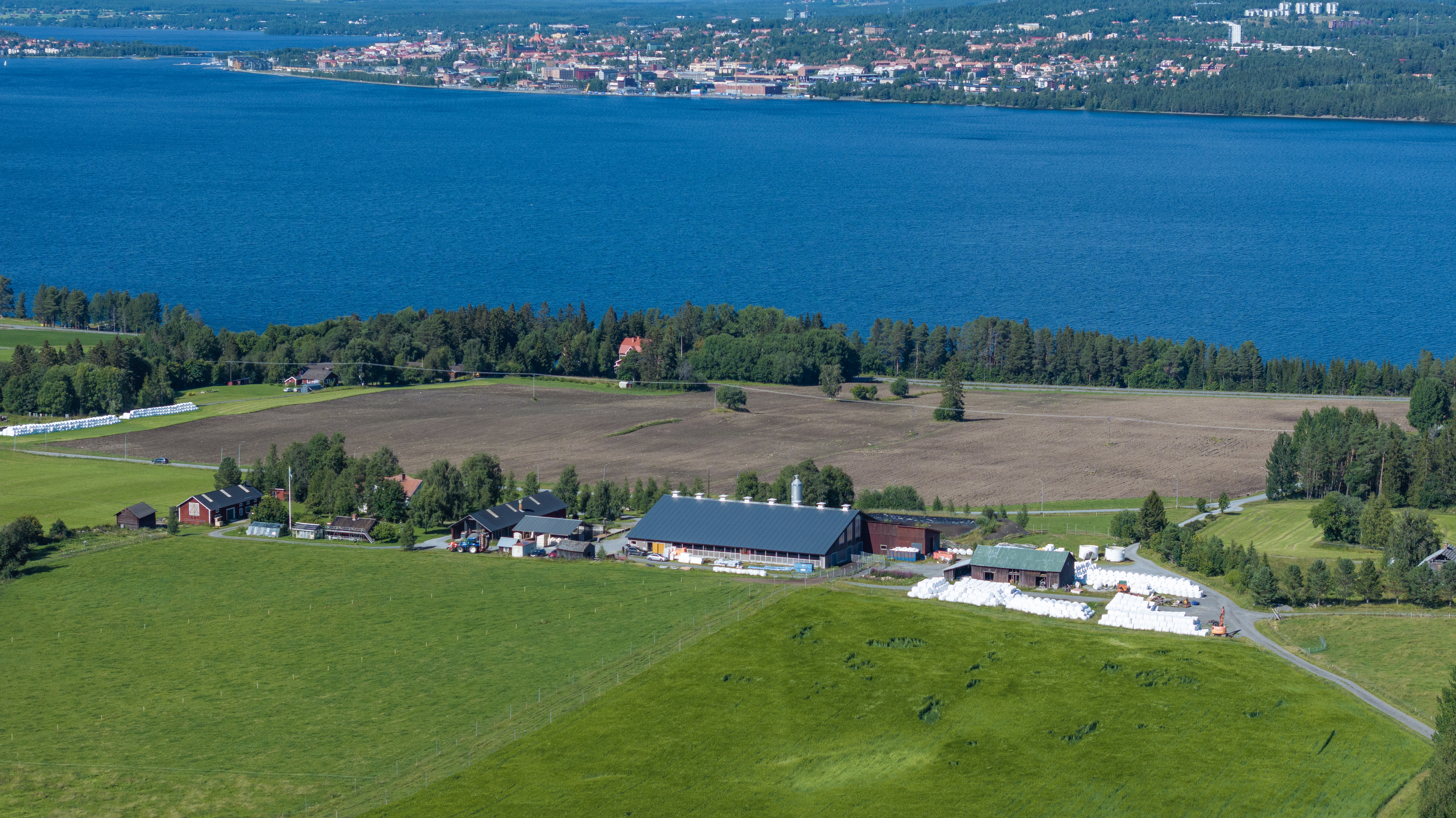 Ministern för civilt försvar Carl-Oskar Bohlin på gårdsbesök på Björids Gård i Slandrom, sommaren 2026.