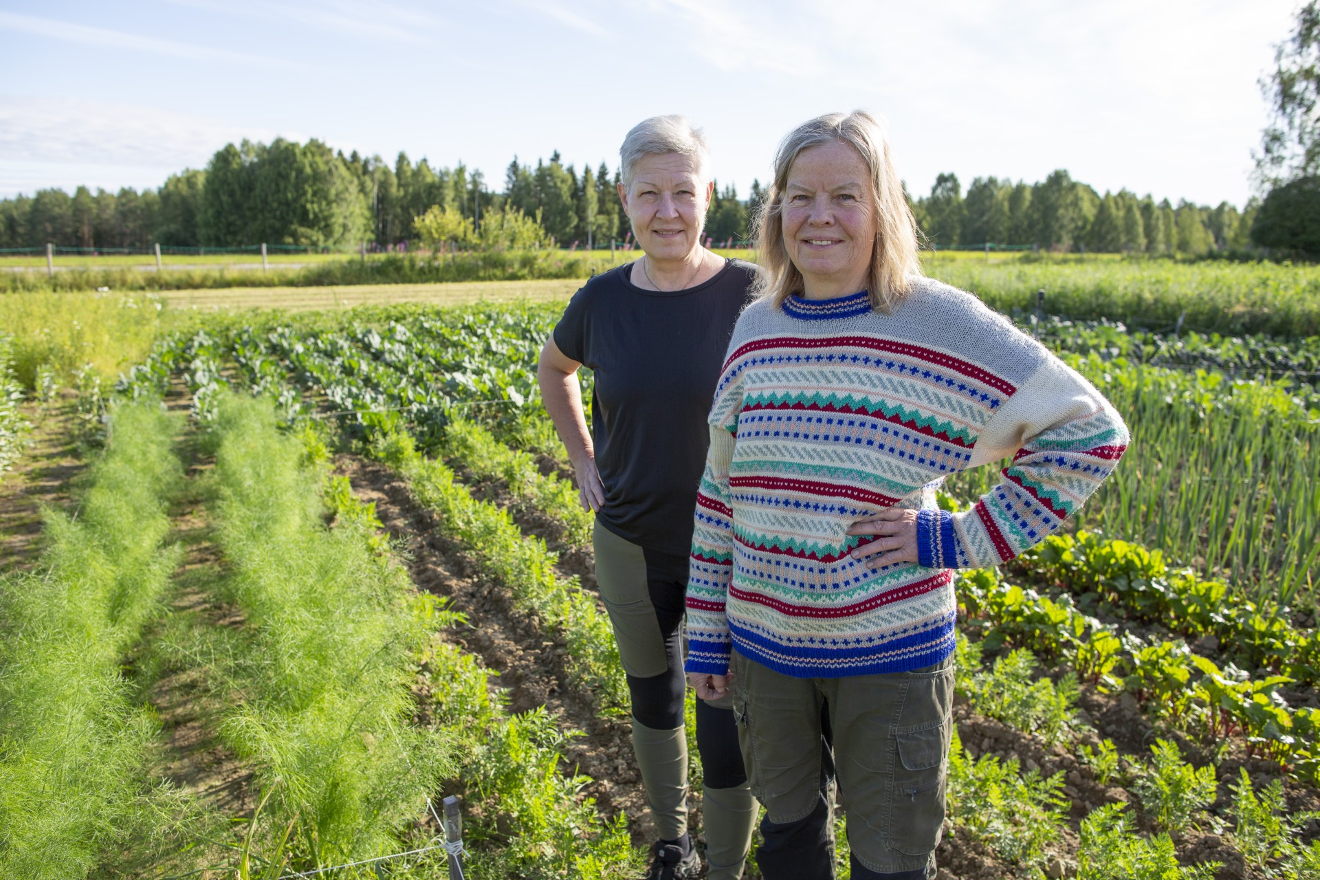 Odlingsprojekt i Älvsbyn: 2000 kvm.