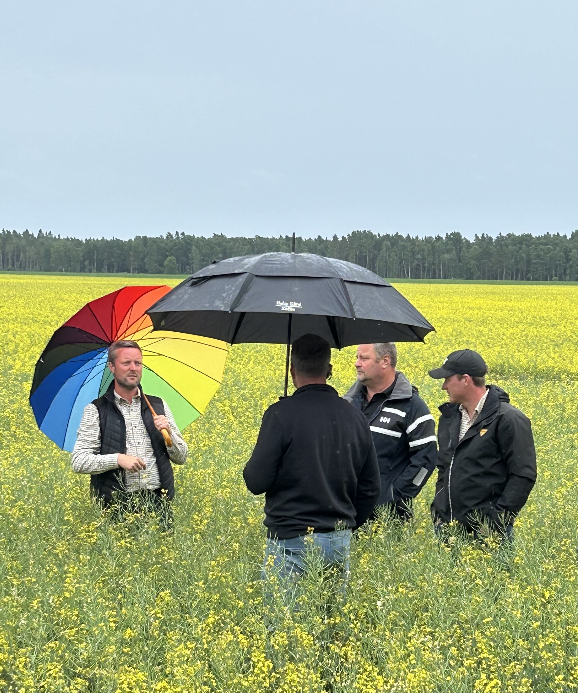 Fältvandring i Säffle