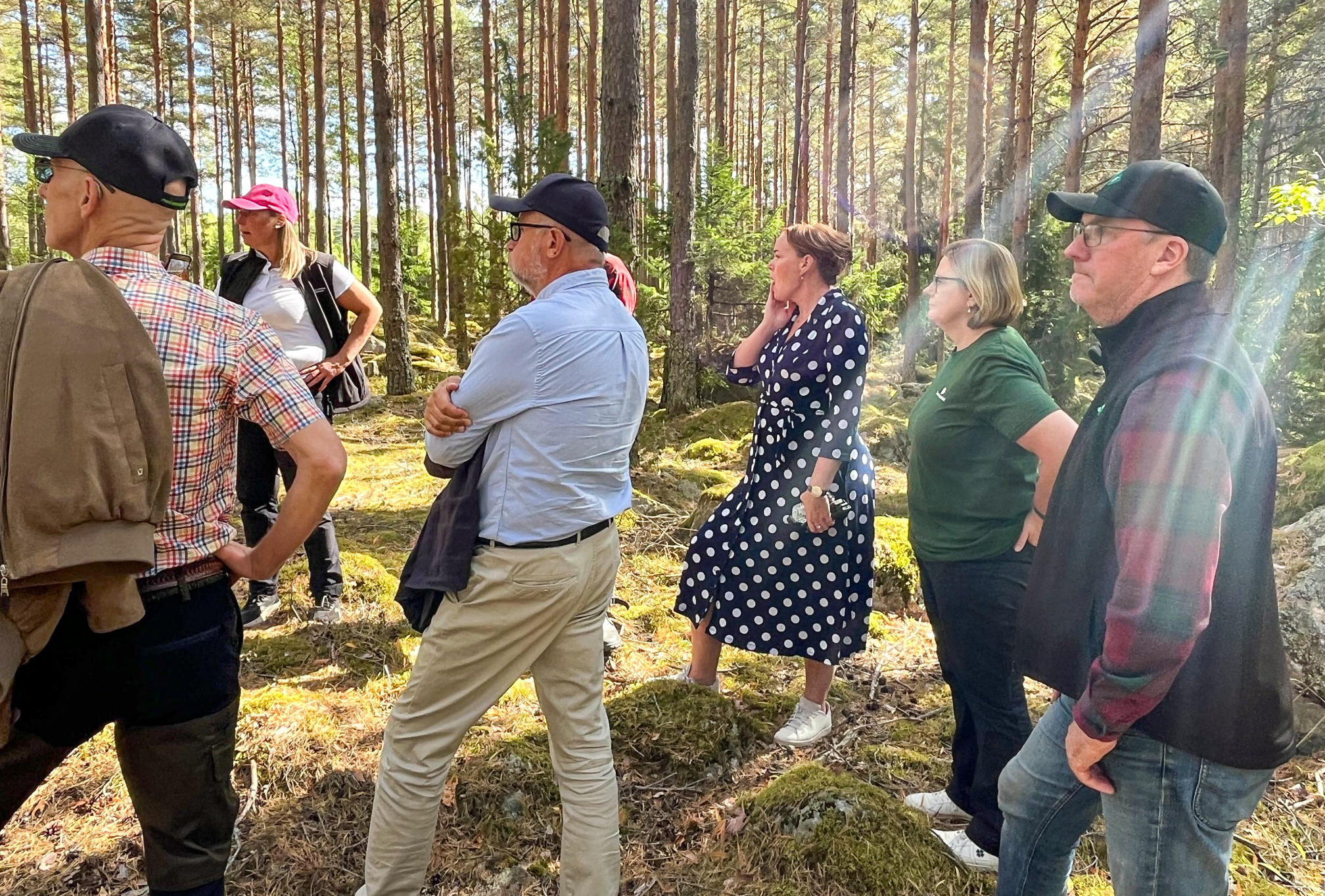 Skogsträff LRF och Mellanskog i Uppsala län