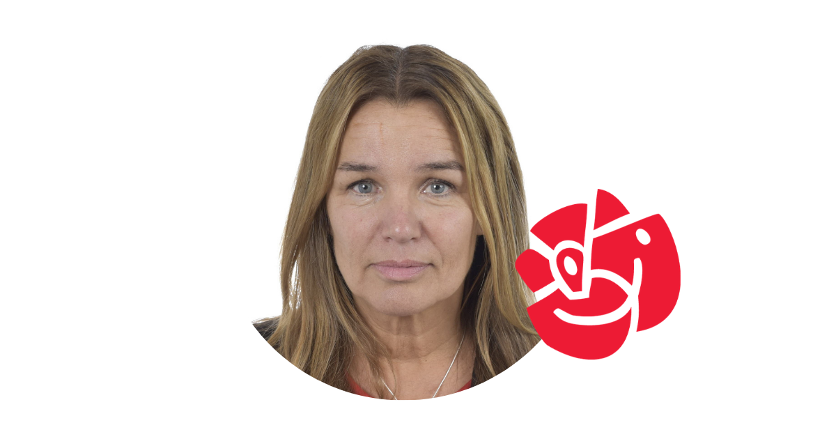 Anna-Caren Sätherberg, Socialdemokraterna