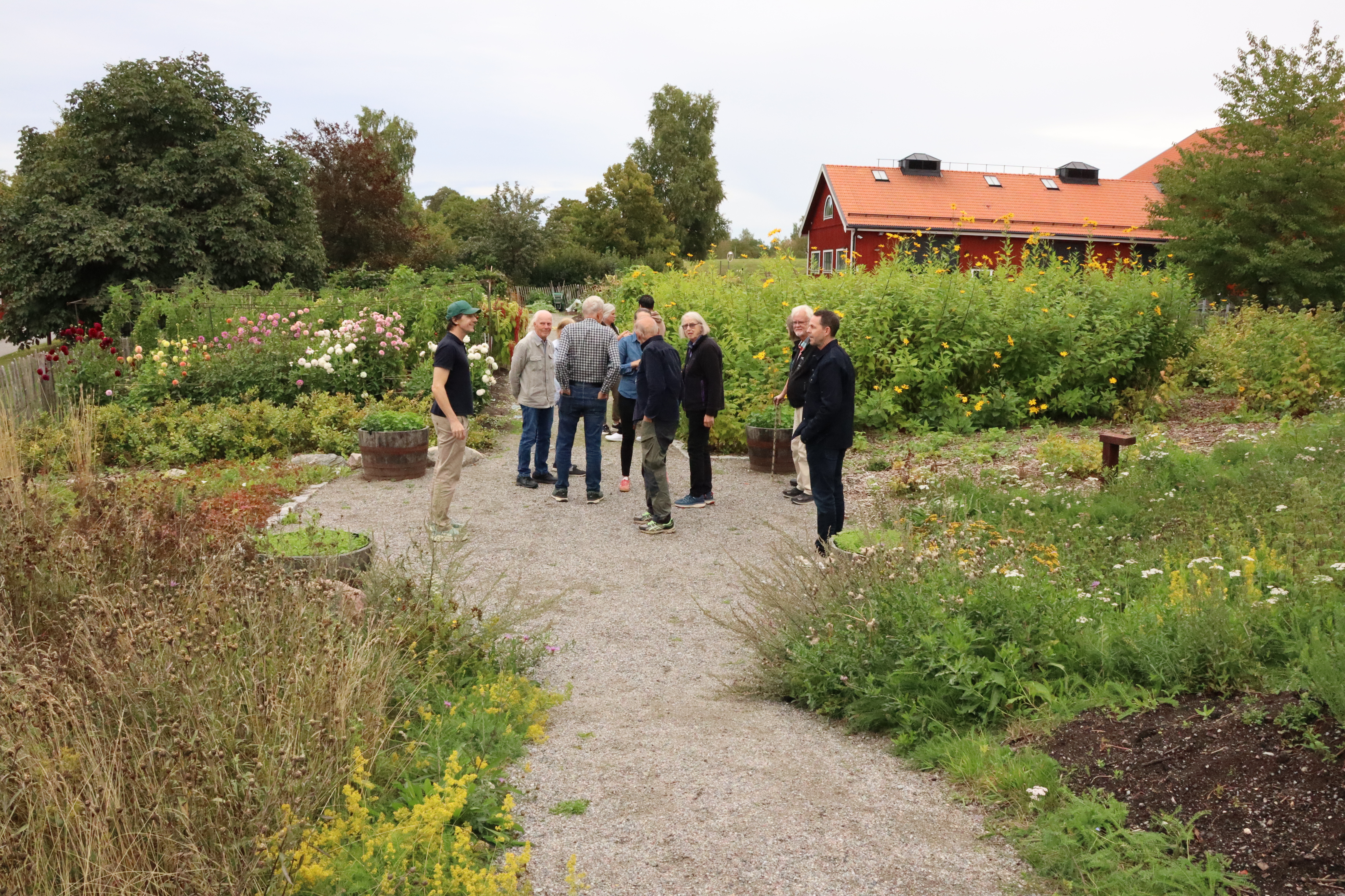 Studiebesök på Torsåker gård
