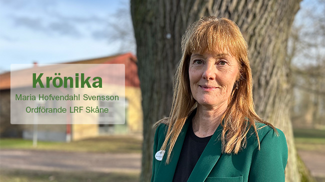 Maria Hofvendahl Svensson