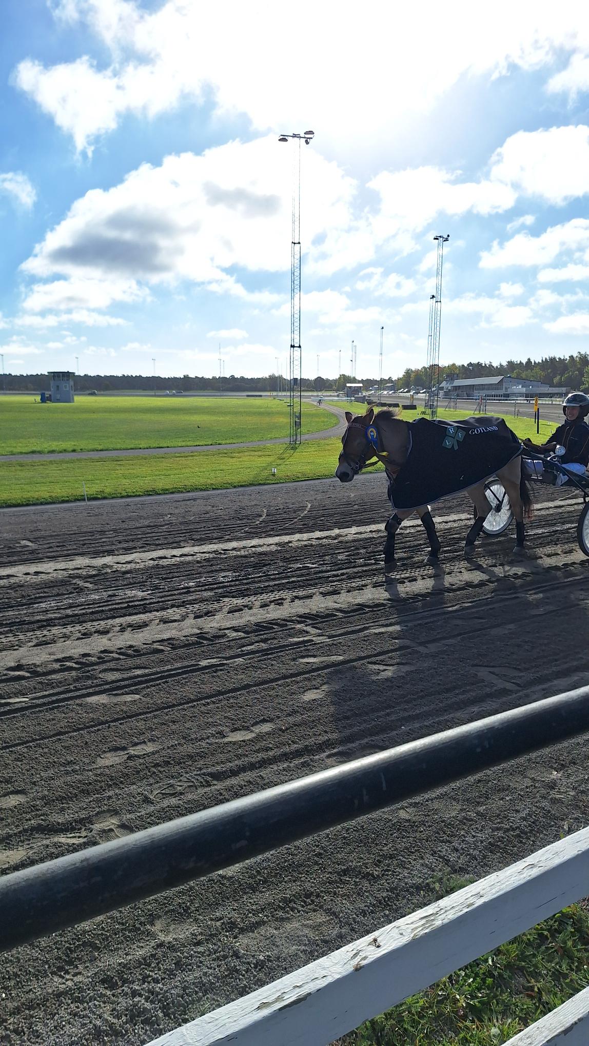 Vinnare ponnytravet, okt 2026.