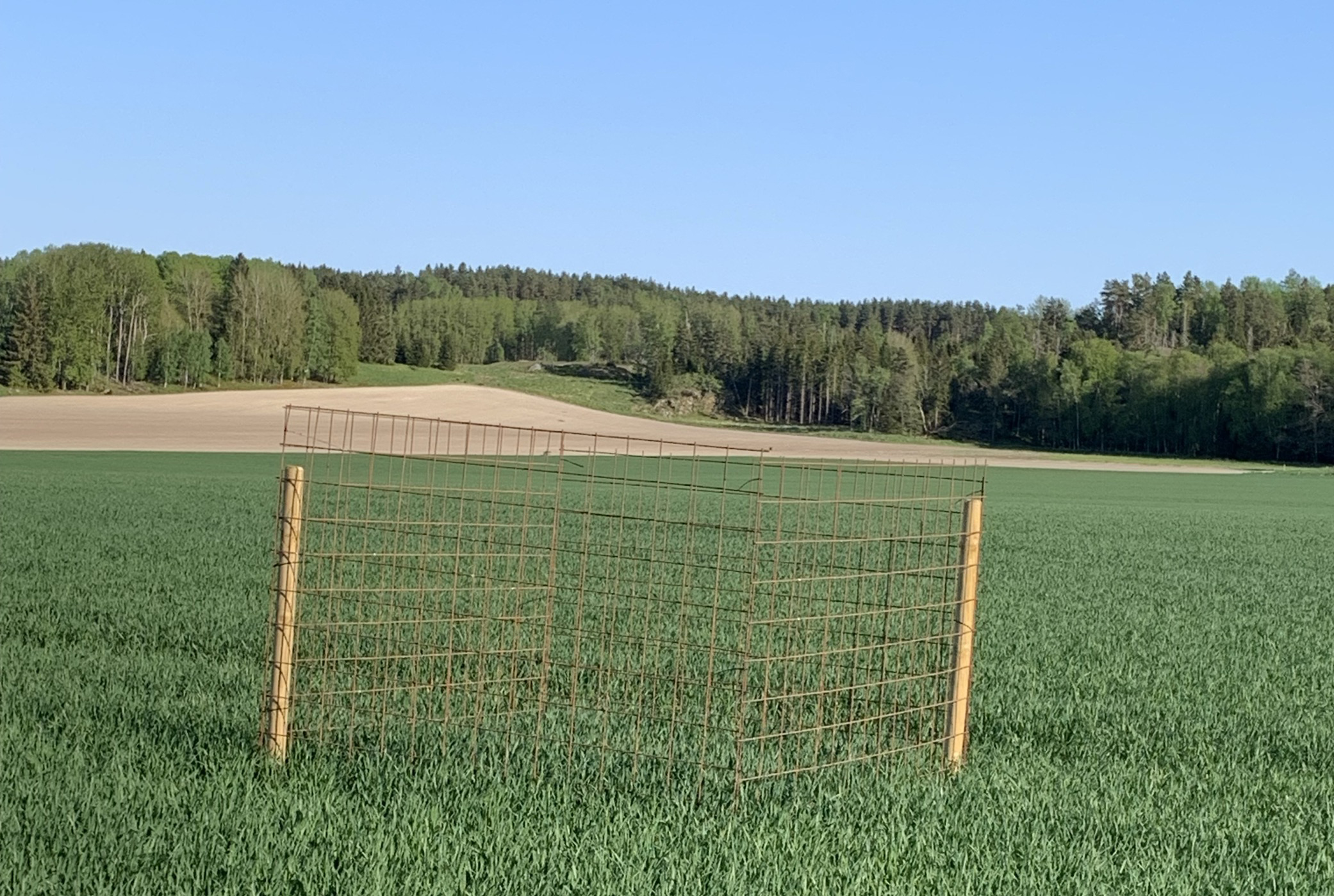 Refersbur för mätning av viltbete