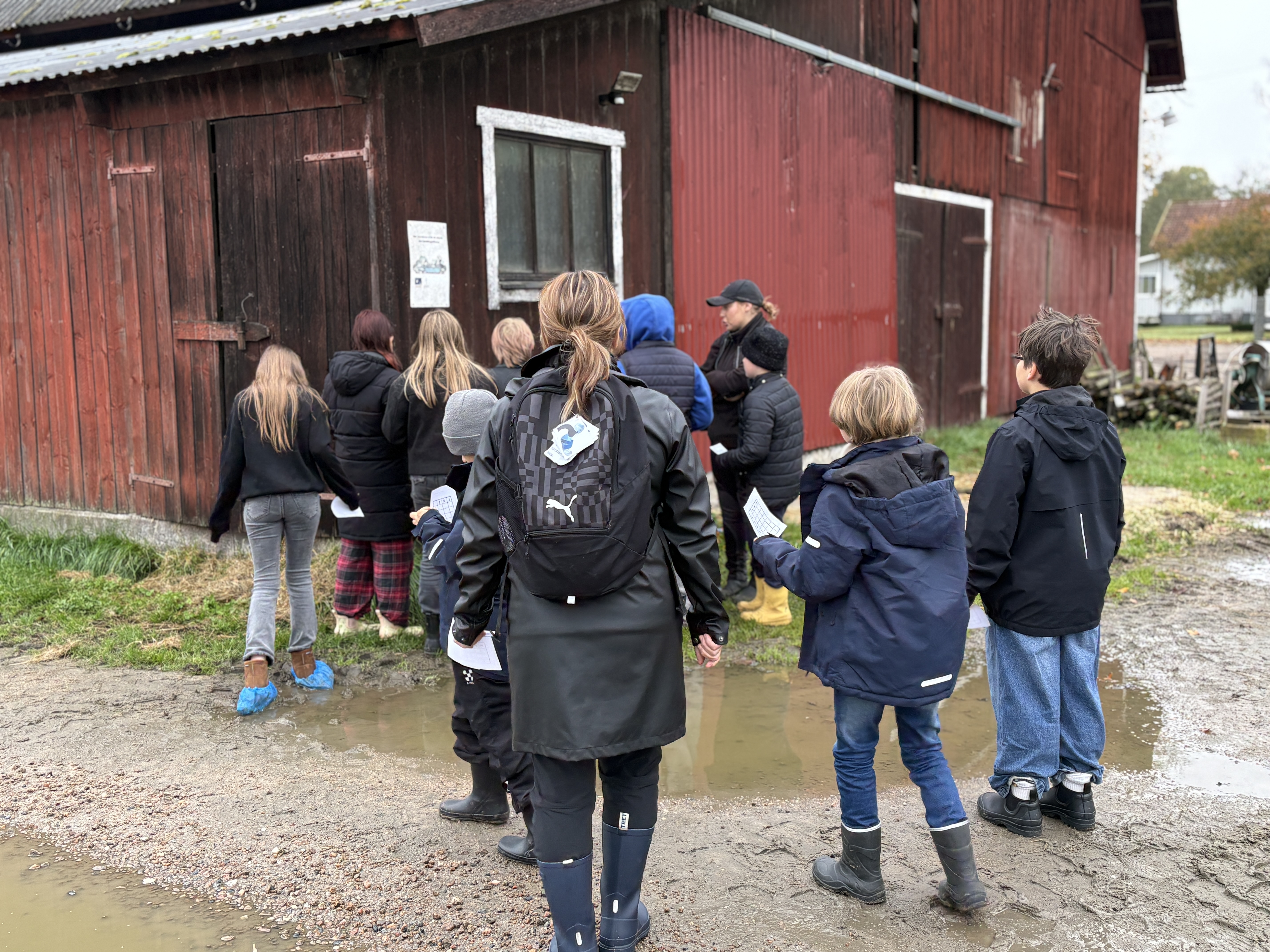 Nennesmo mjölk och kött ab