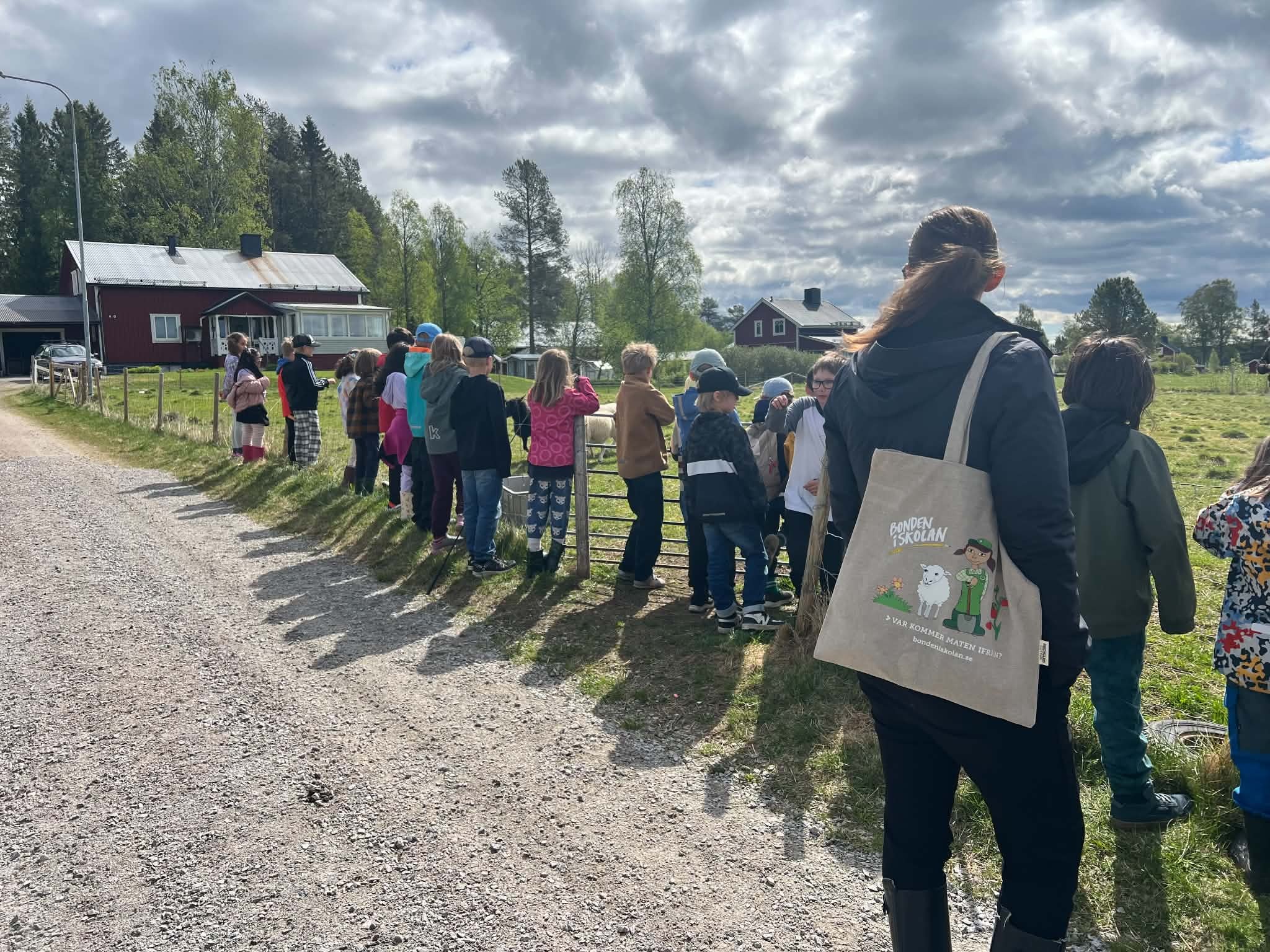Elever på gårdsbesök som blickar ut över en kohage