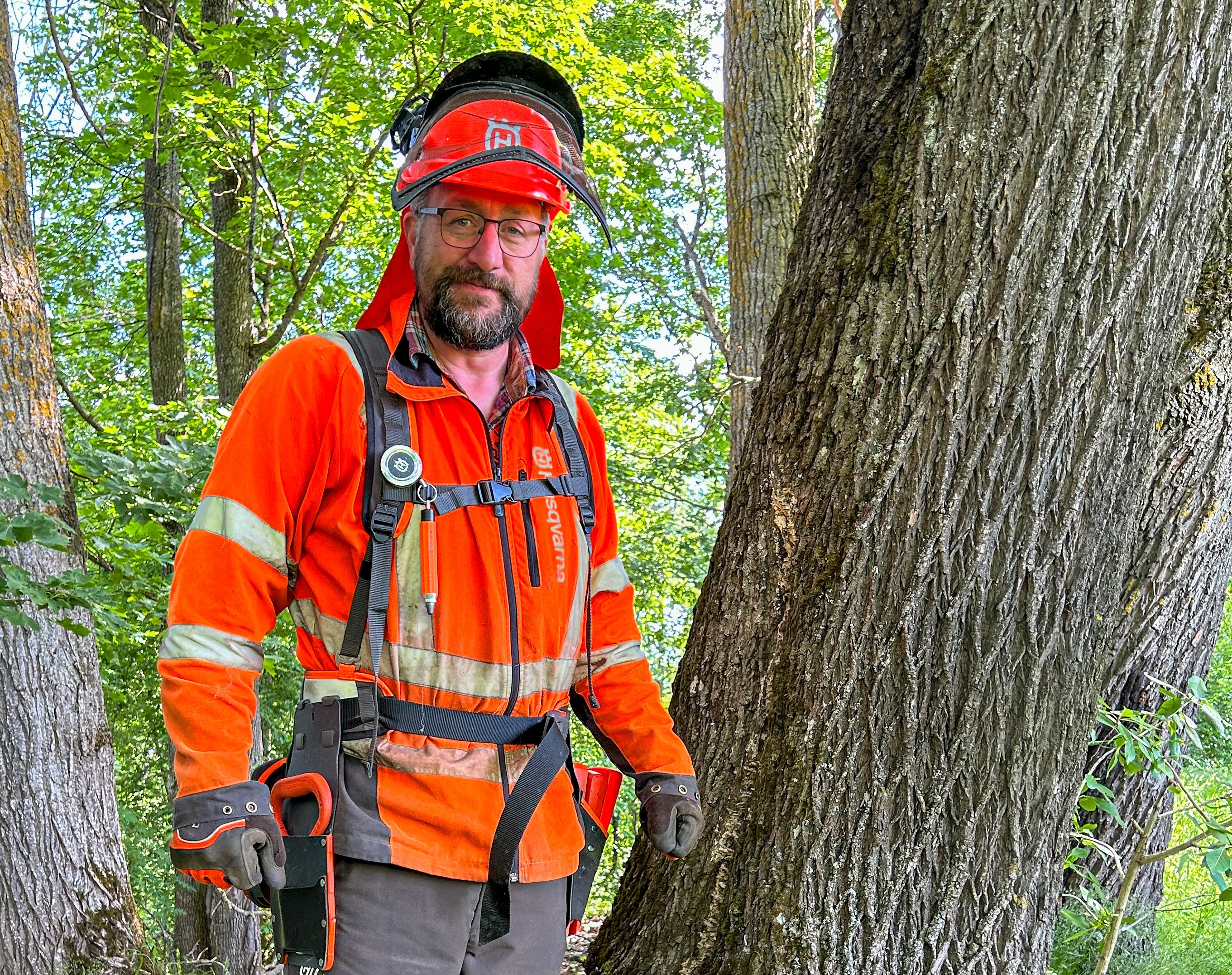Peter Andersson, Dalarna