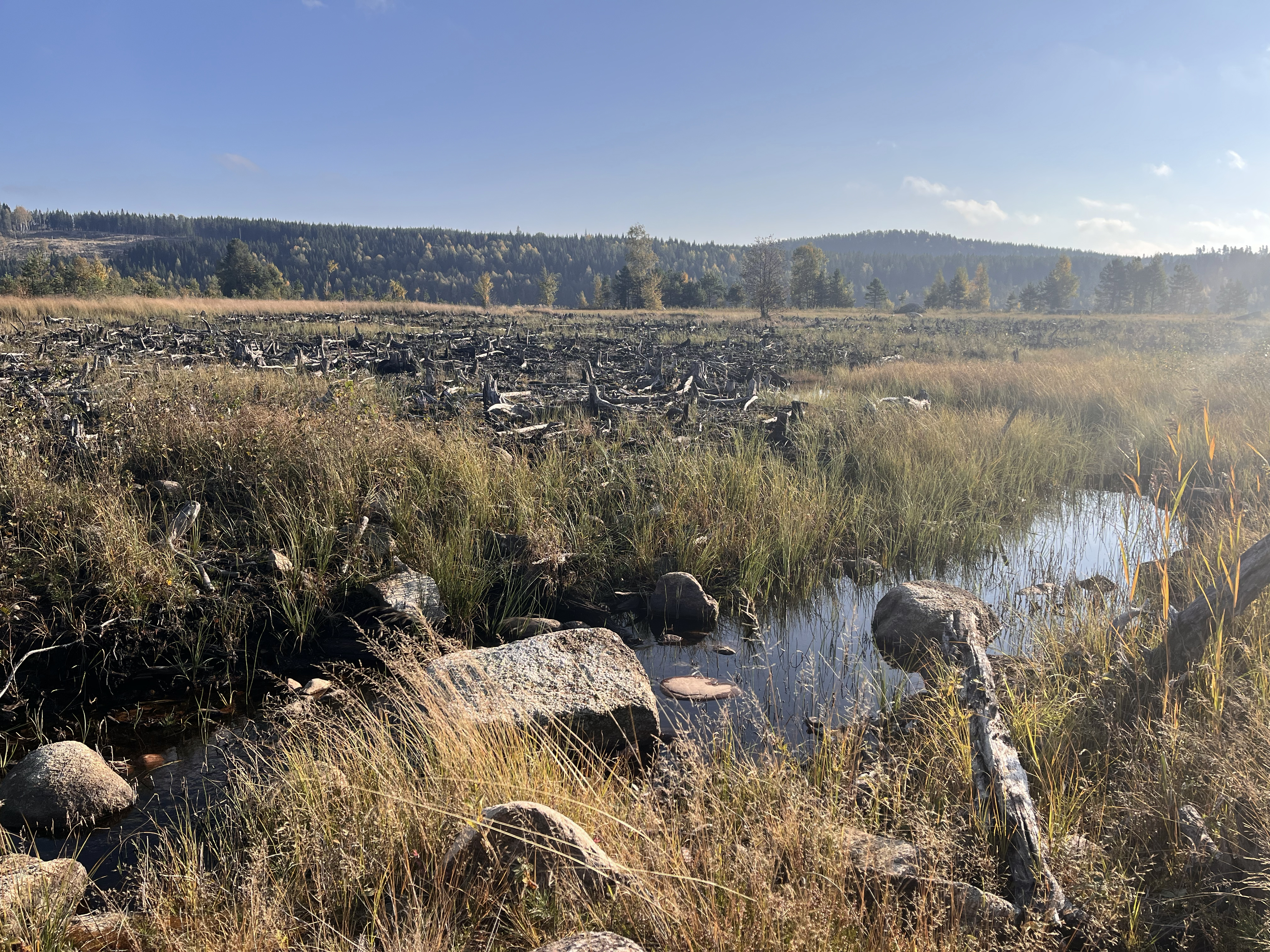 Östra Görsjön i Hagfors efter att dammen sjön