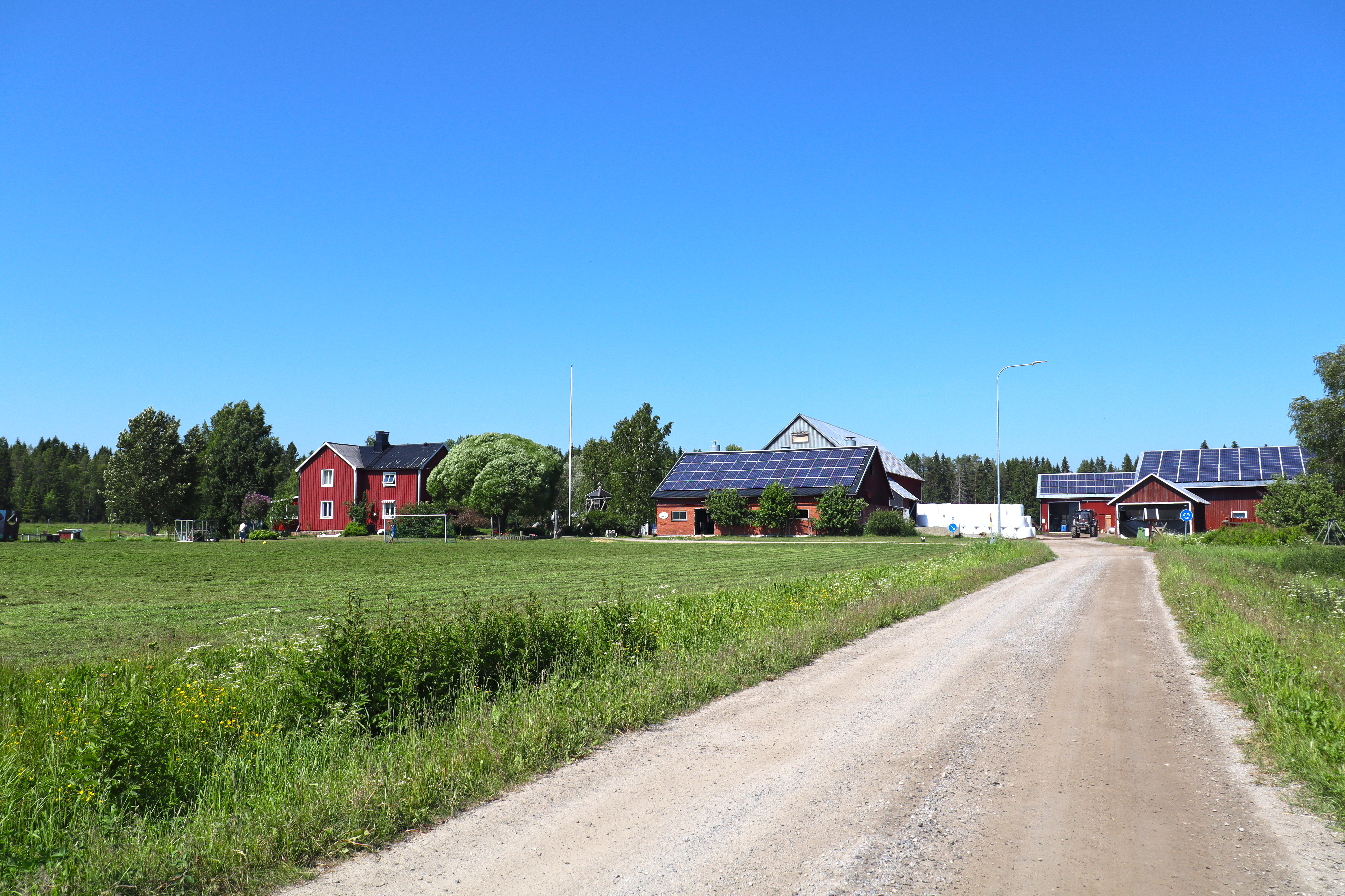 Hälje gård, Holmäs, Umeå