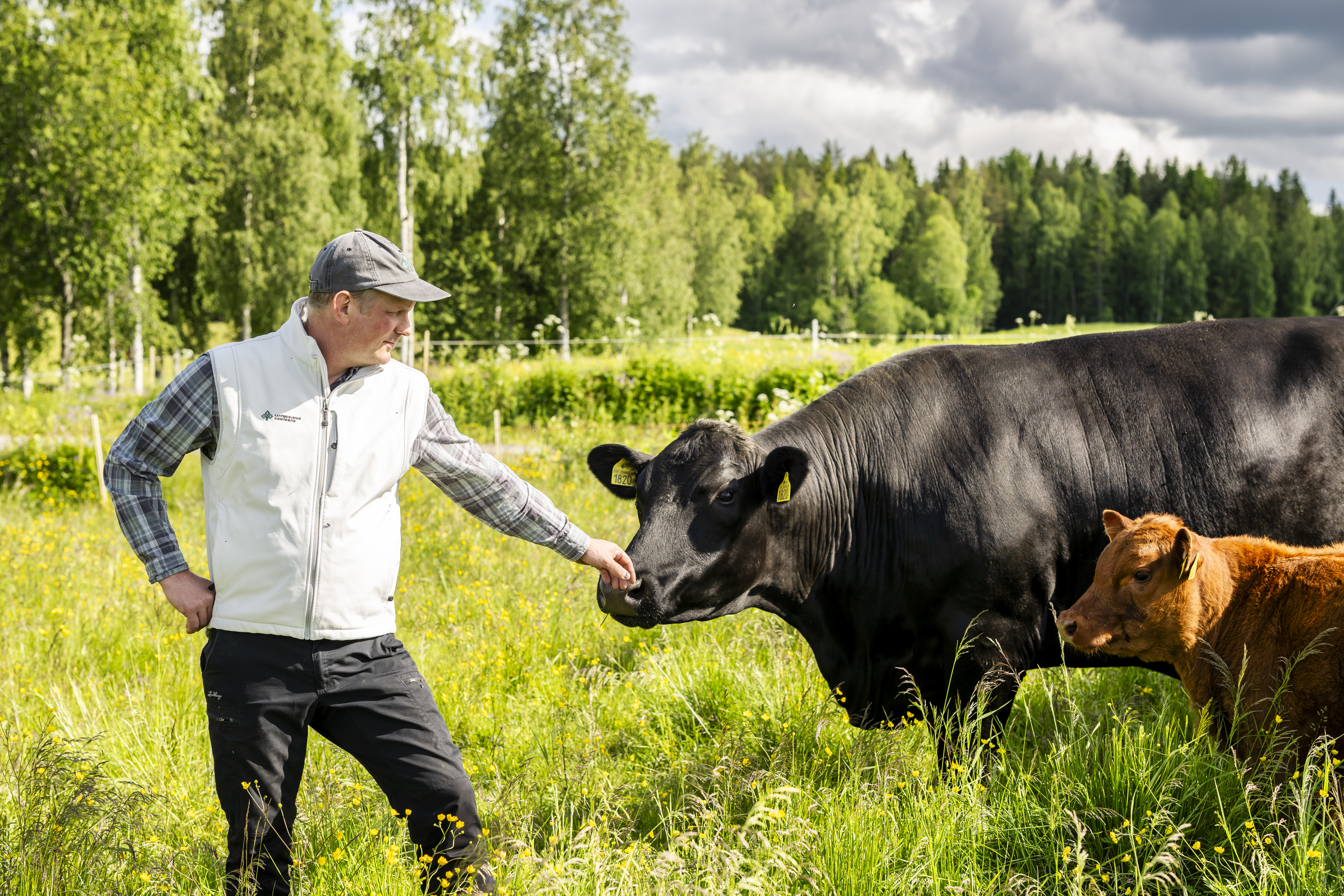 Stefan Lindgren, LRF Västerbottens ordförande