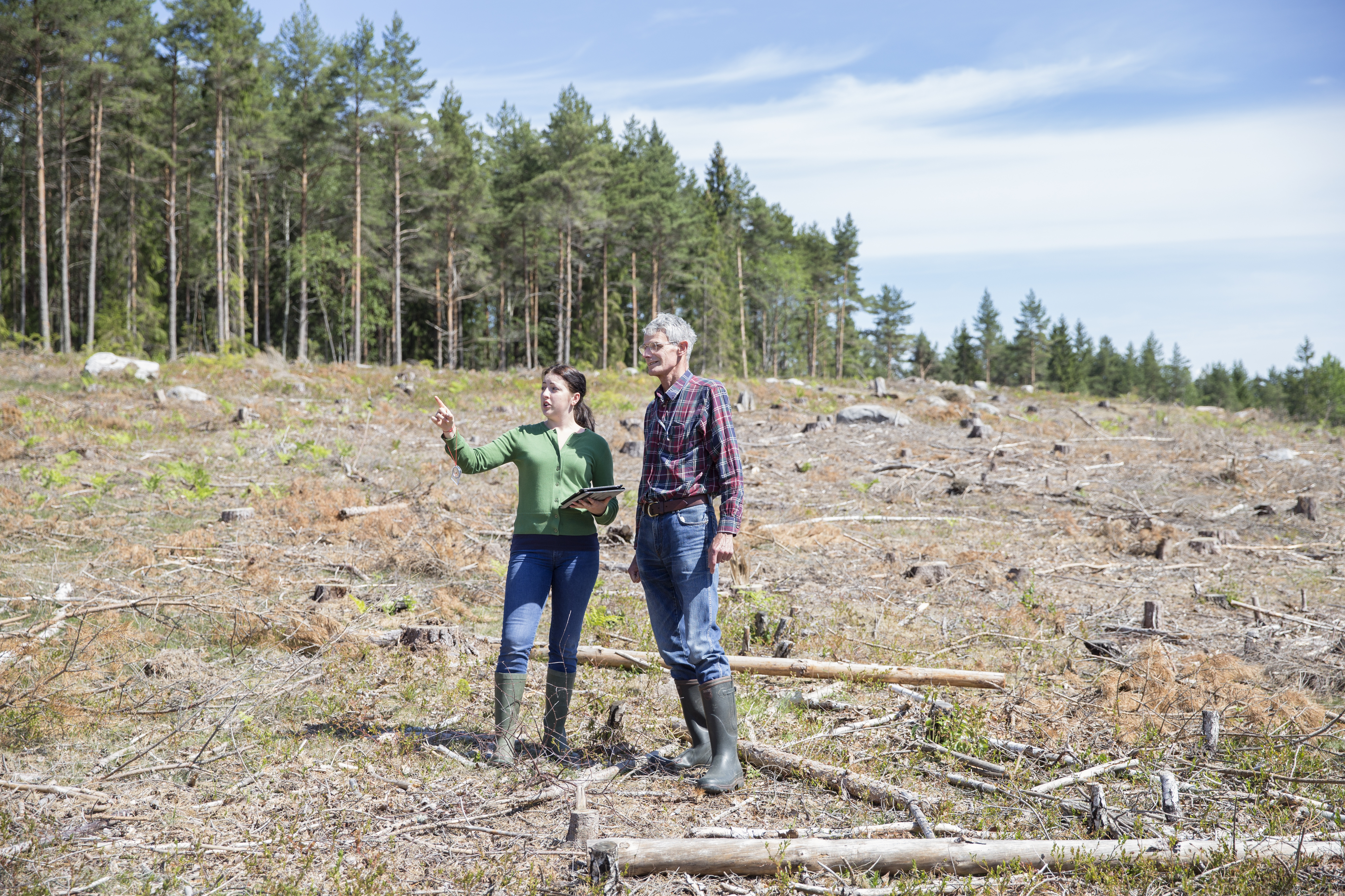 Två skogsägare på hygge Ekerö skog