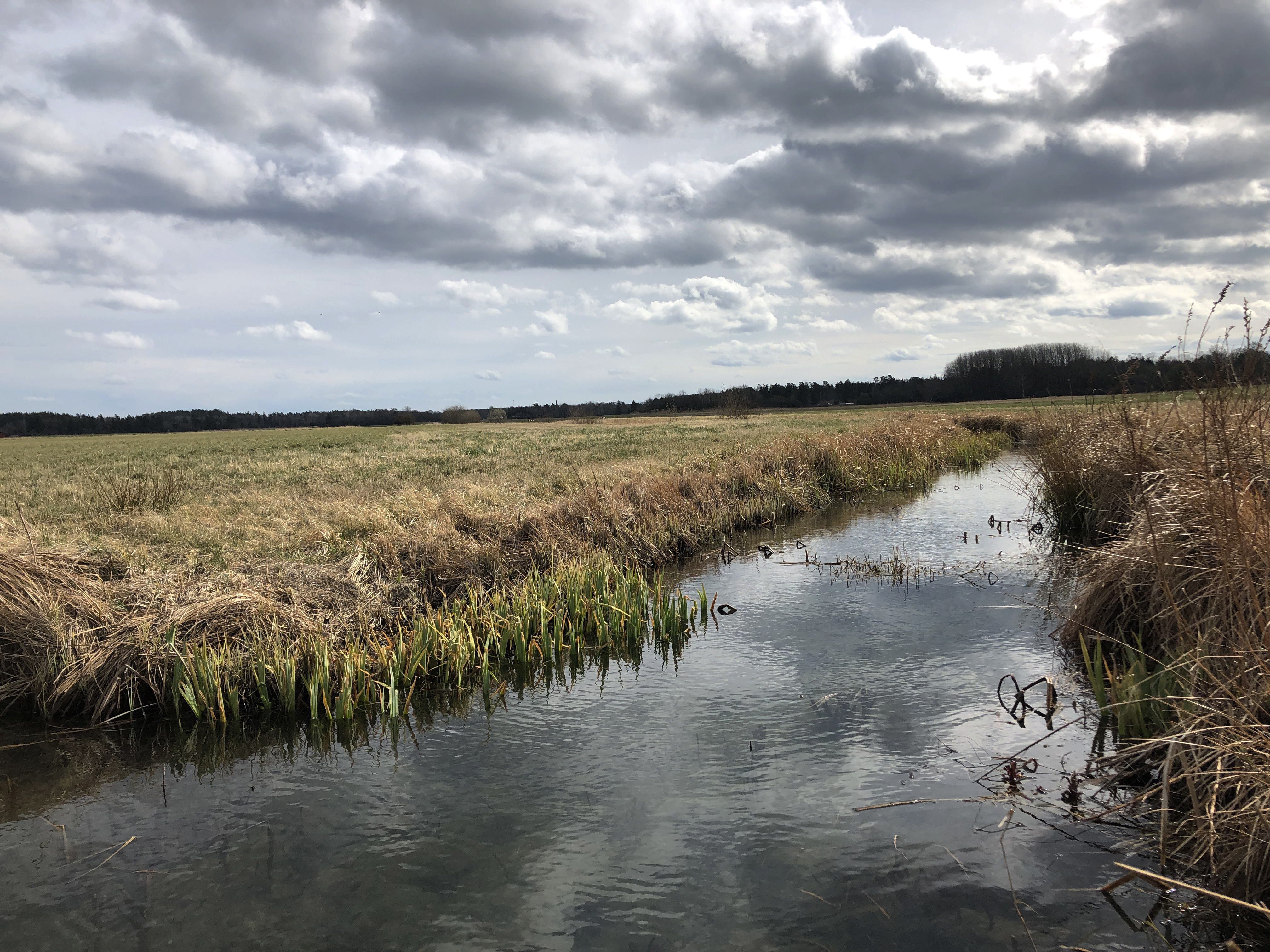 Dike i odlingslandskap