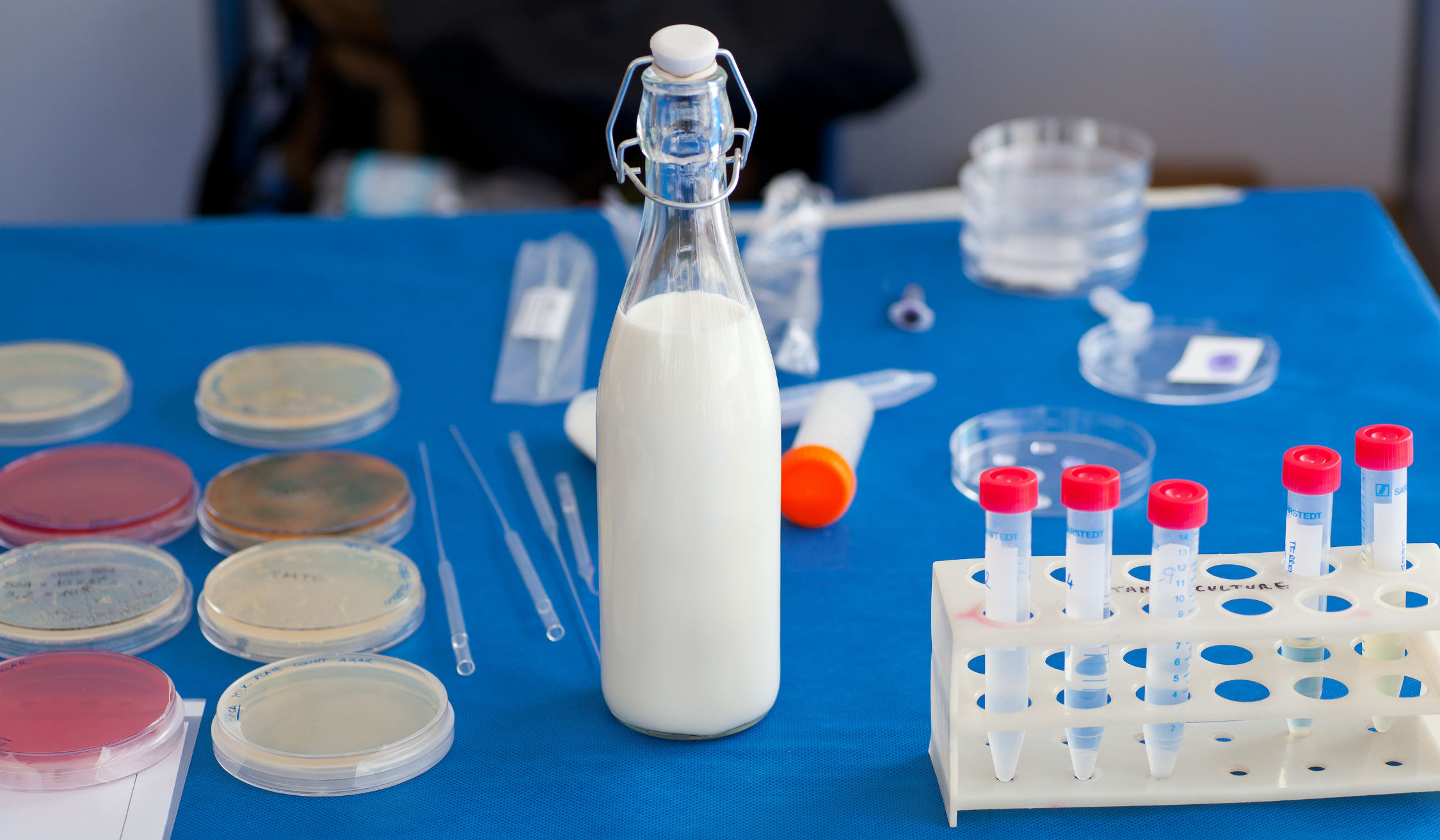 Mjölkkvalitet och nutrition