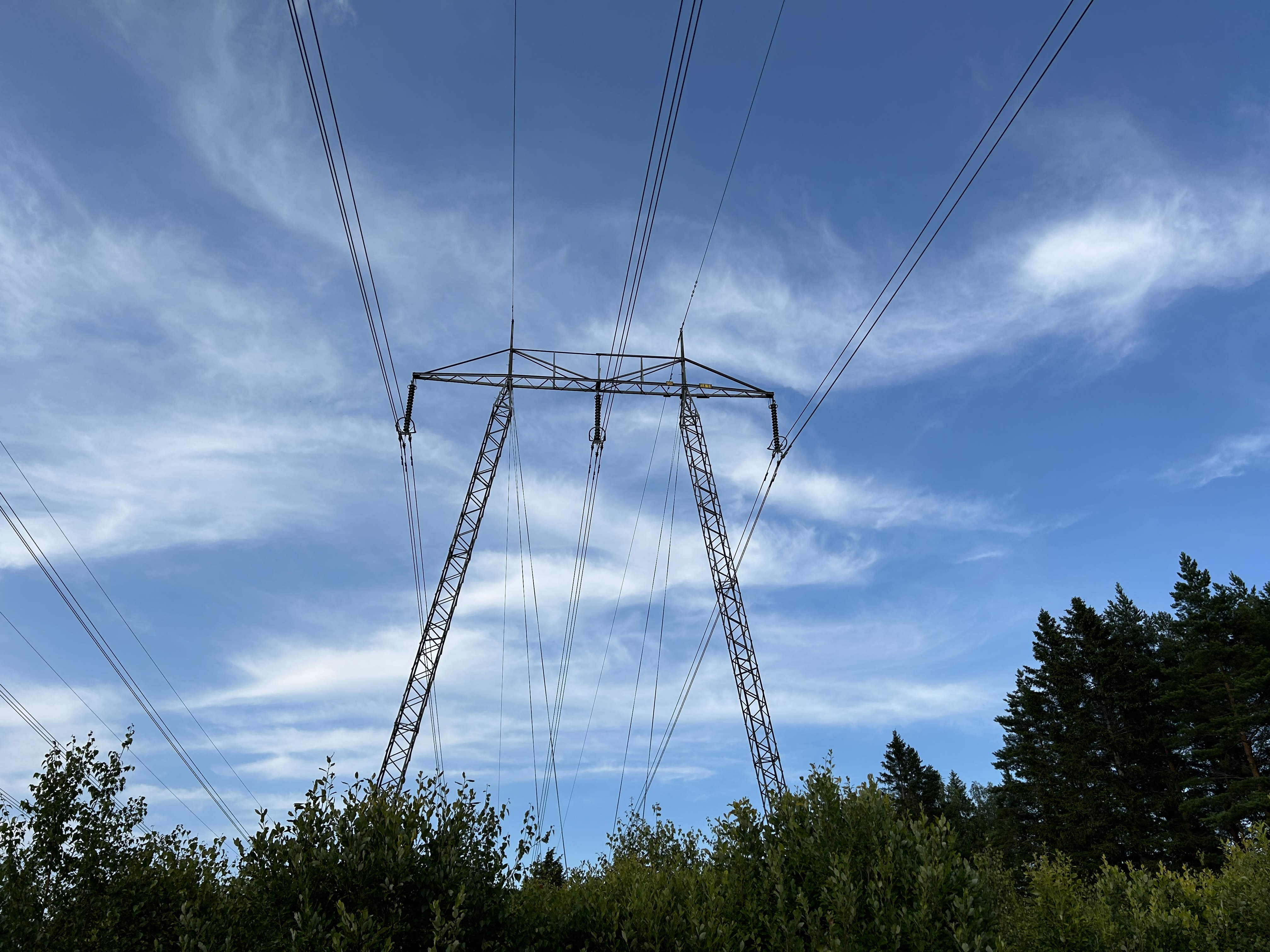 kraftledningar